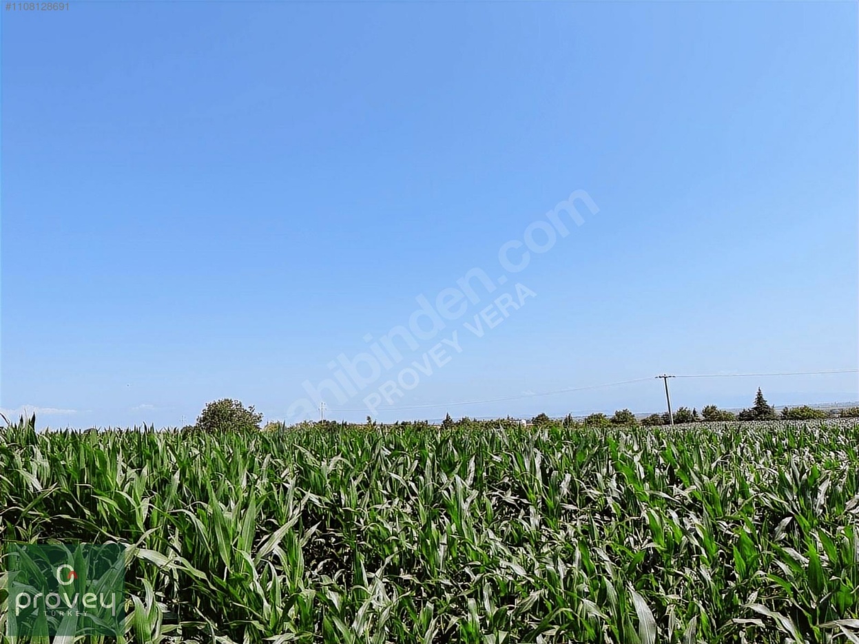 Provey Vera Karacabey Arız'da Bursa Çanakkale Yoluna Cephe Arazi