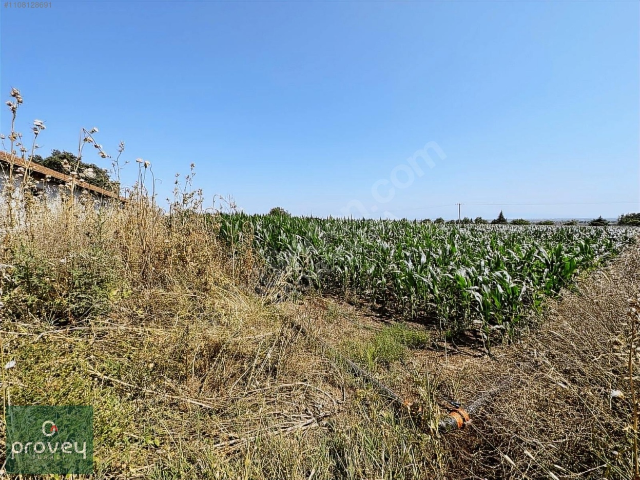 Provey Vera Karacabey Arız'da Bursa Çanakkale Yoluna Cephe Arazi