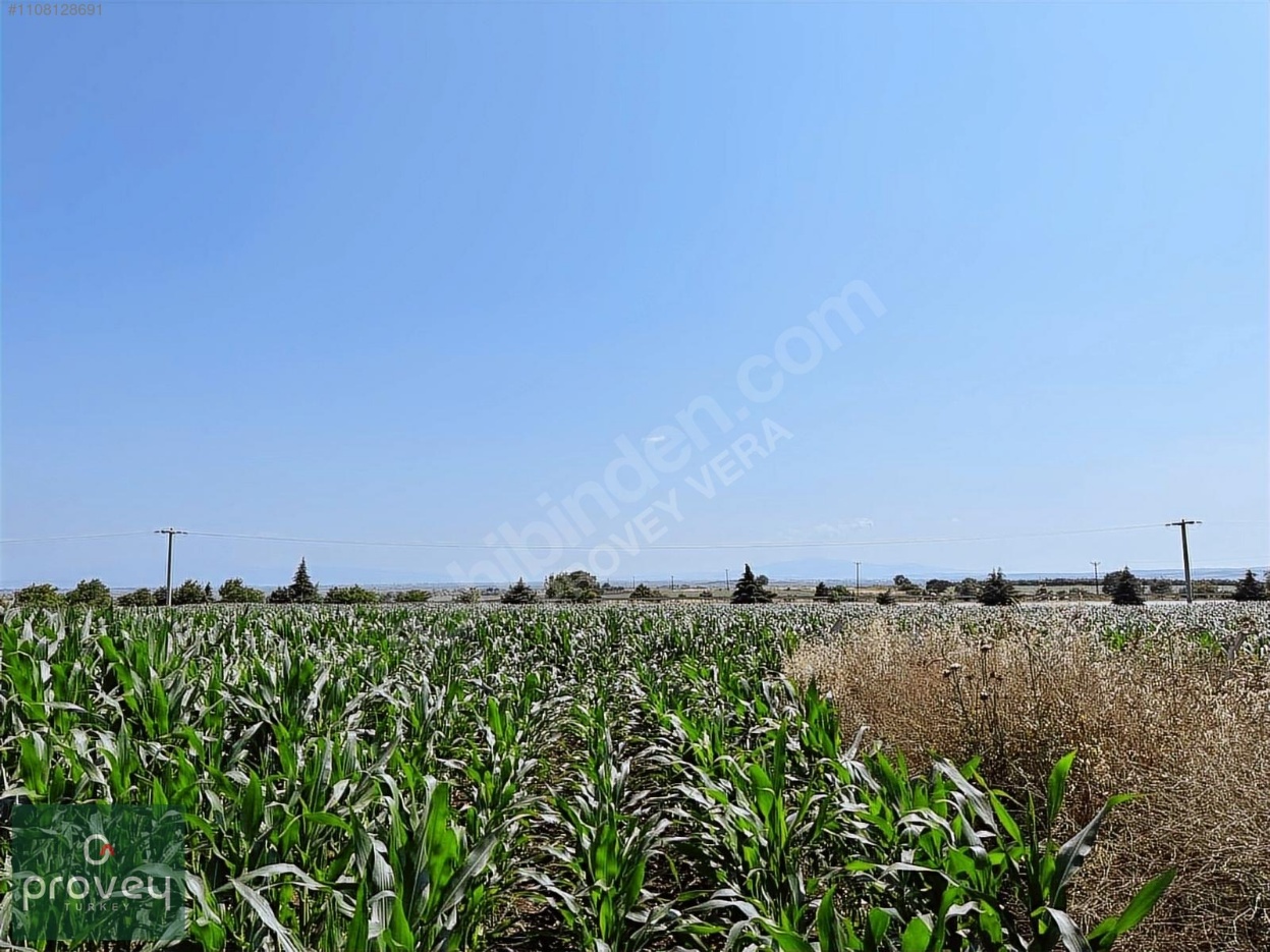 Provey Vera Karacabey Arız'da Bursa Çanakkale Yoluna Cephe Arazi