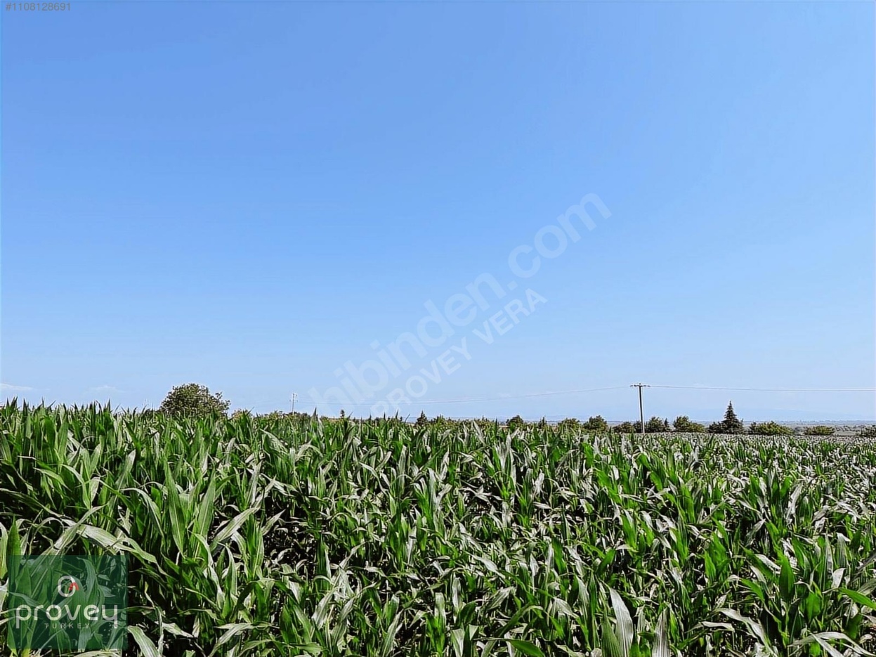 Provey Vera Karacabey Arız'da Bursa Çanakkale Yoluna Cephe Arazi