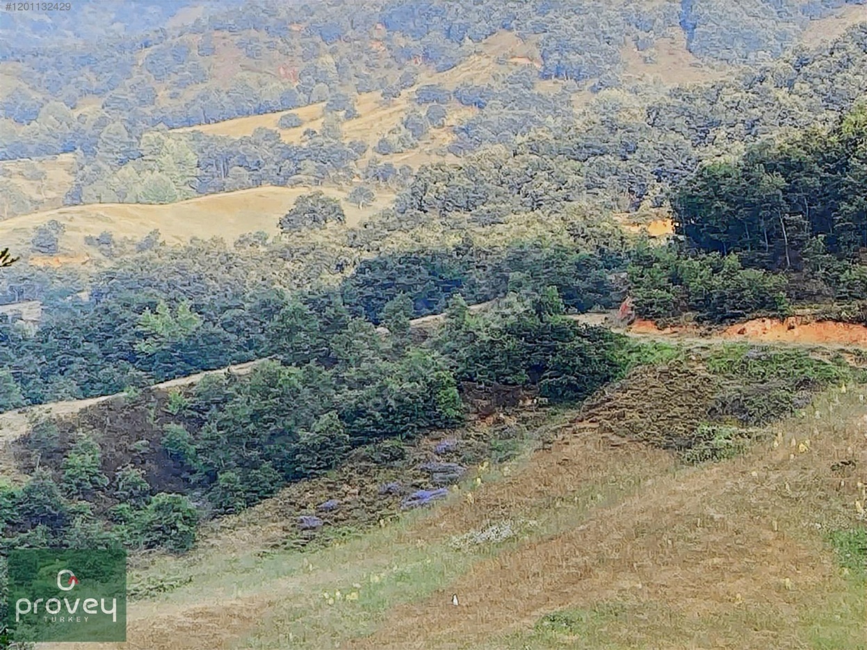 Provey Vera Biga Yolindi Satılık Tarla
