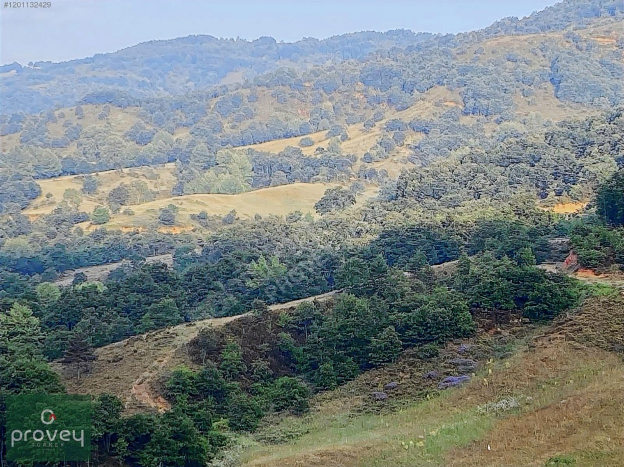 Provey Vera Biga Yolindi Satılık Tarla