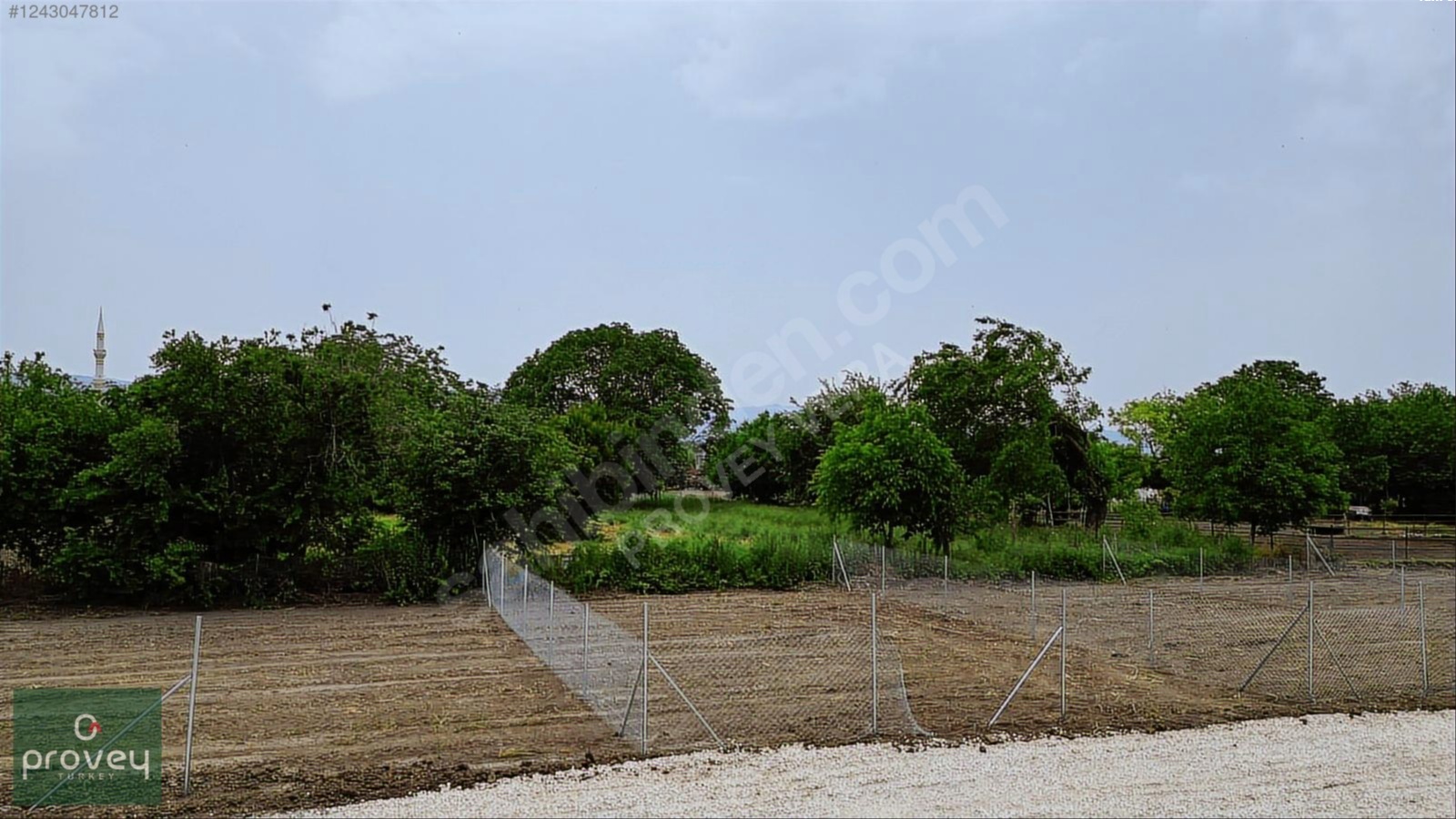 Provey Vera M.kemalpaşa Melik Köy 223 M2 Köy İçi İmarlı Arsa