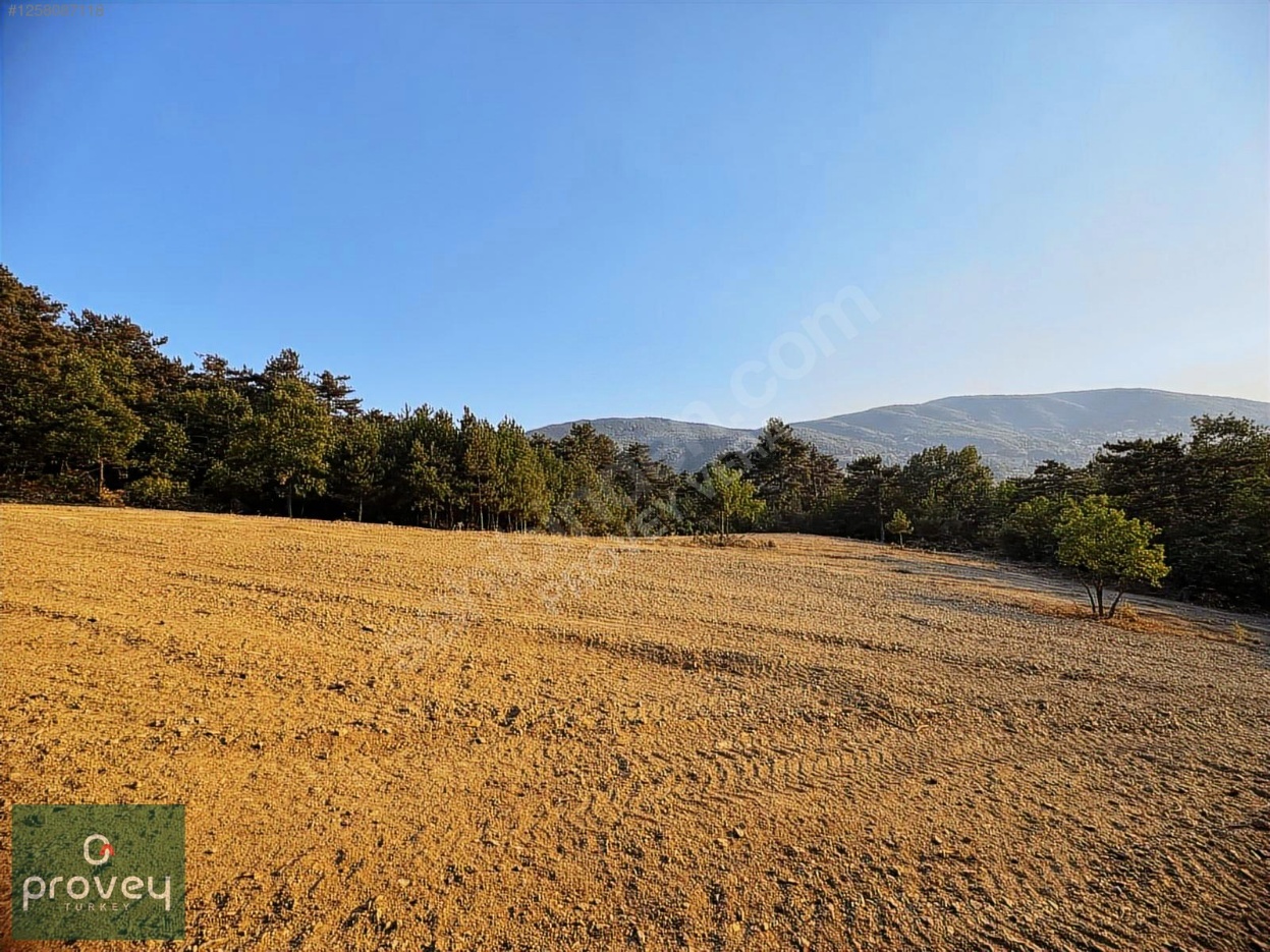 PROVEY VERA NİLÜFER ATLAS'TA TEK TAPU 3.899 M2 SATILIK ARAZİ