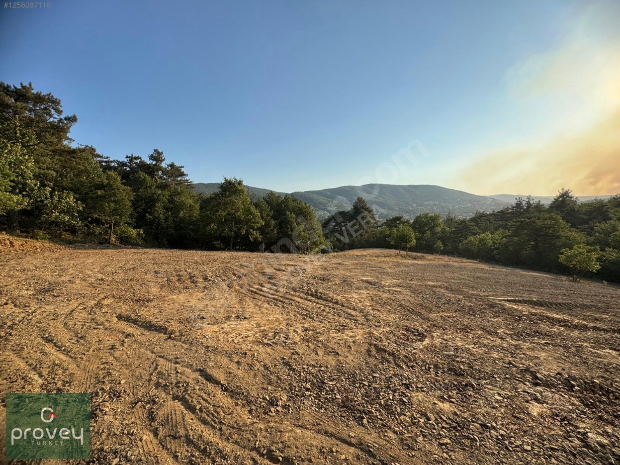 Provey Vera Nilüfer Atlas'ta Tek Tapu 3.899 M2 Satılık Arazi