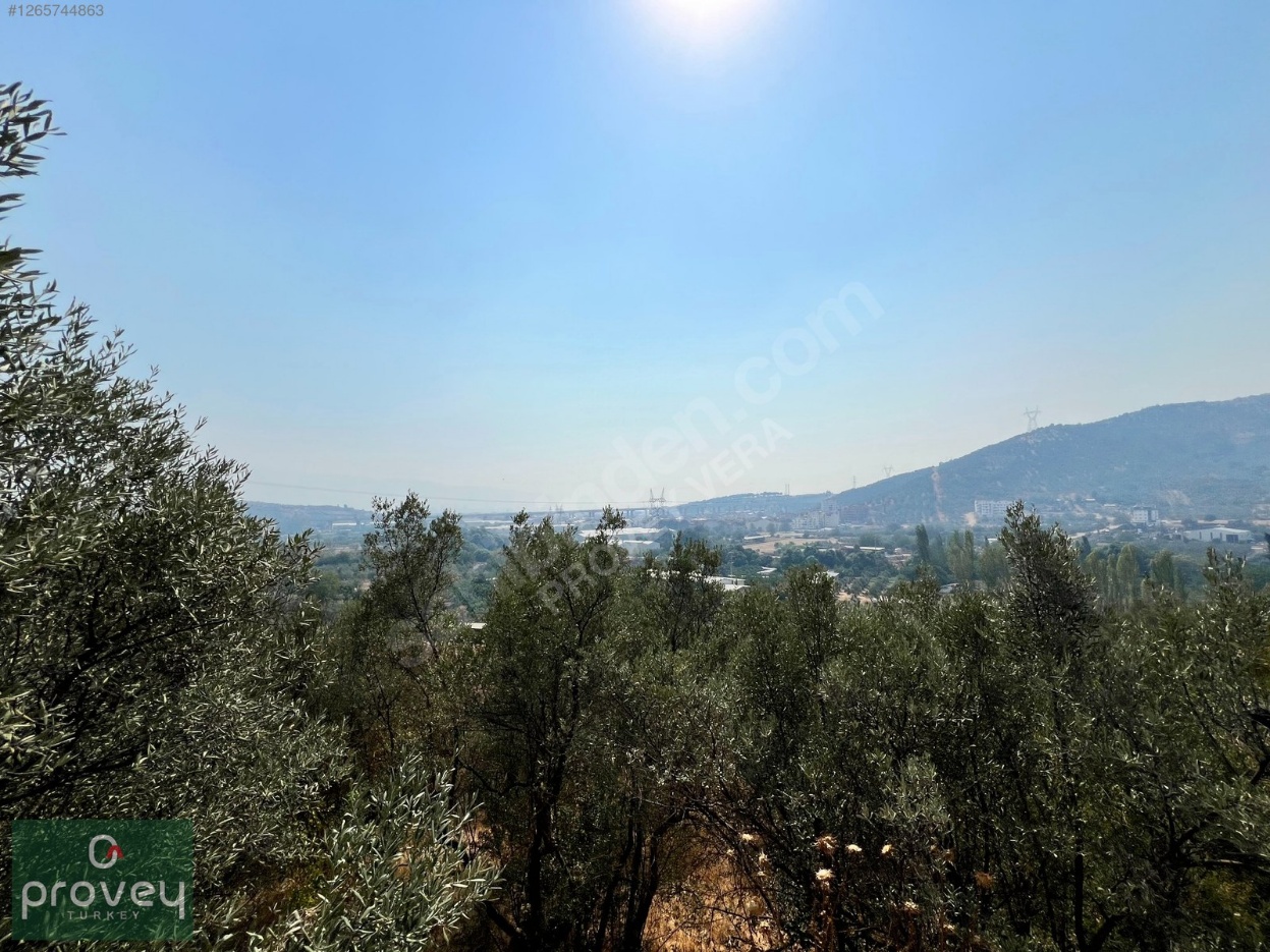 Provey Vera Demirtaş Barbaros'ta Satılık 130 M2 Hobi Bahçesi