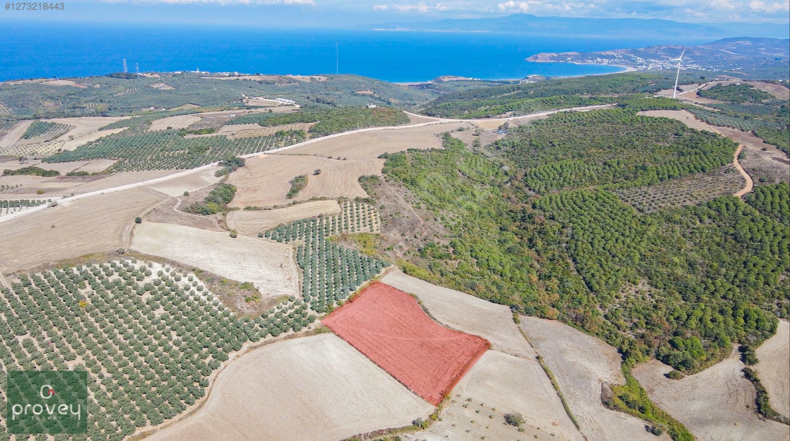 Provey Vera Mudanya Söğütpınar Satılık 7718 M2 Yatırımlık Arazi