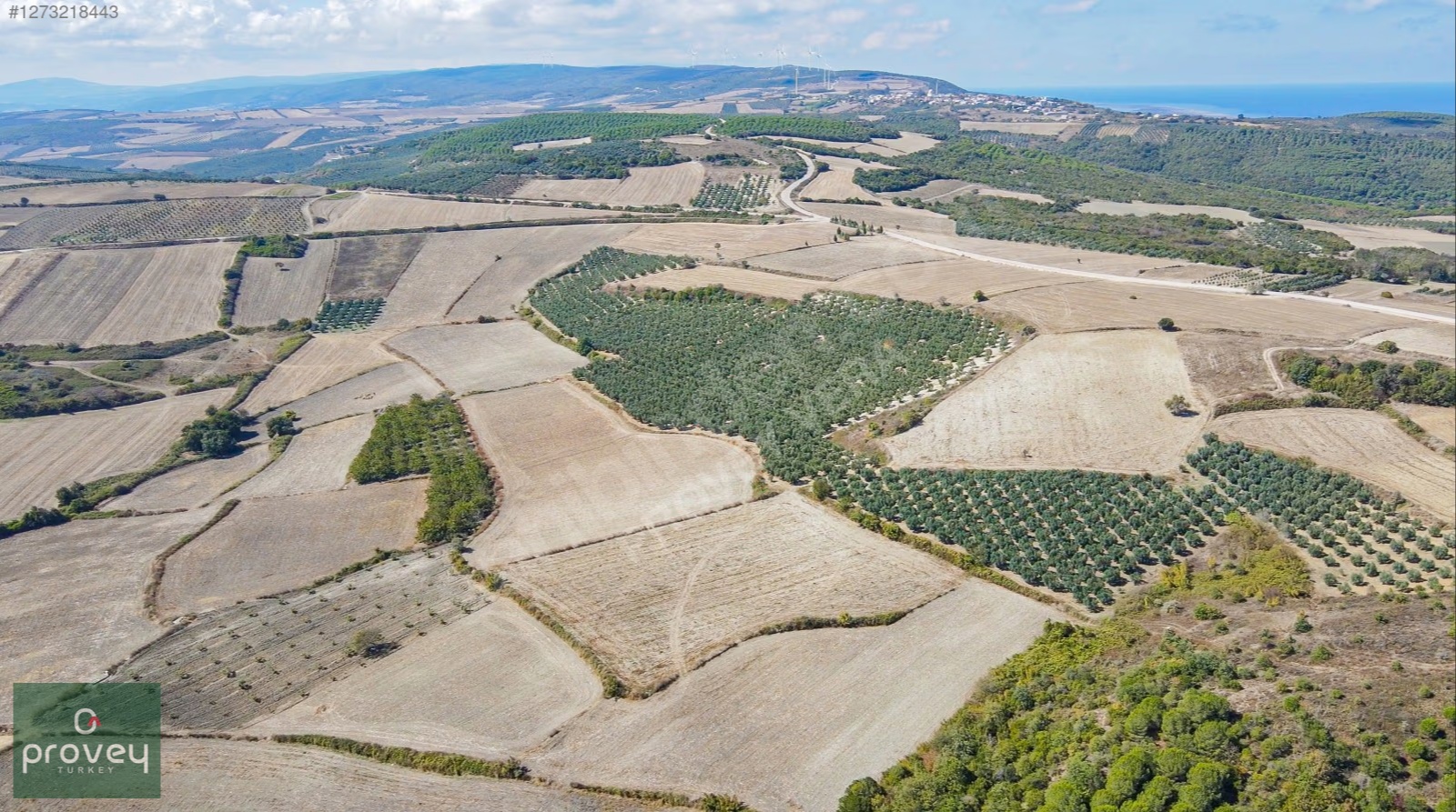 Provey Vera Mudanya Söğütpınar Satılık 7718 M2 Yatırımlık Arazi