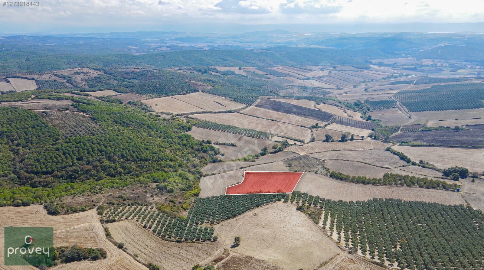 Provey Vera Mudanya Söğütpınar Satılık 7718 M2 Yatırımlık Arazi