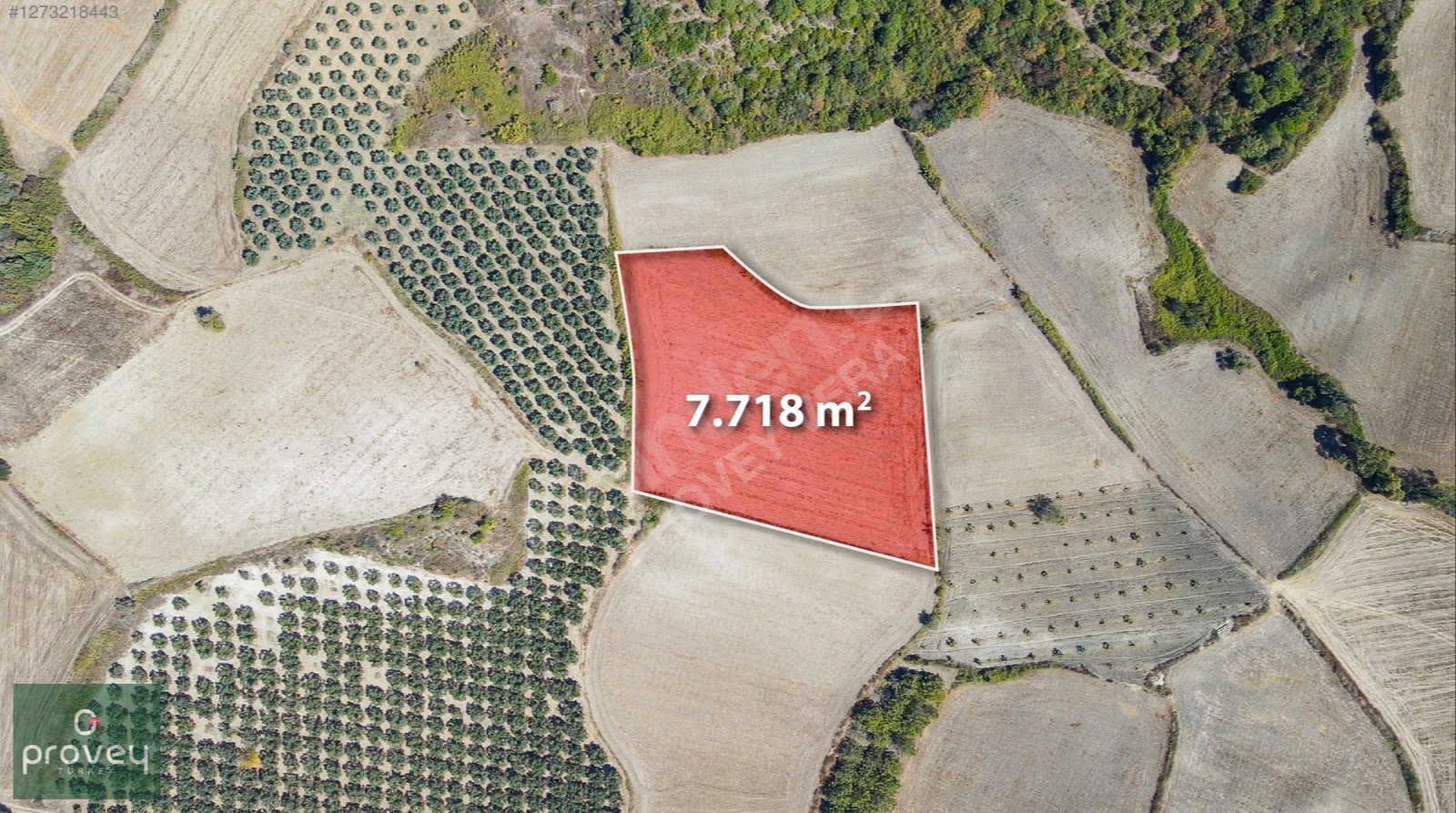 Provey Vera Mudanya Söğütpınar Satılık 7718 M2 Yatırımlık Arazi