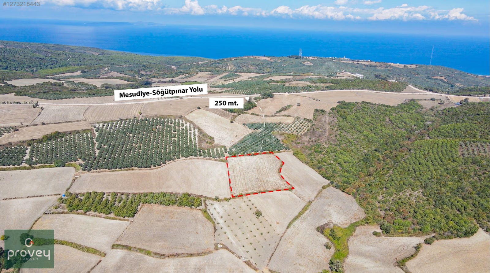 Provey Vera Mudanya Söğütpınar Satılık 7718 M2 Yatırımlık Arazi