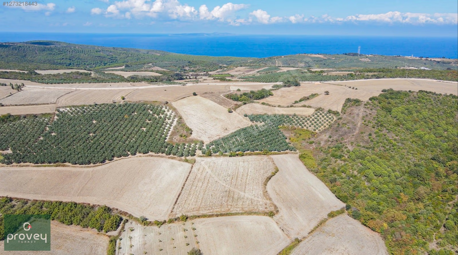 Provey Vera Mudanya Söğütpınar Satılık 7718 M2 Yatırımlık Arazi