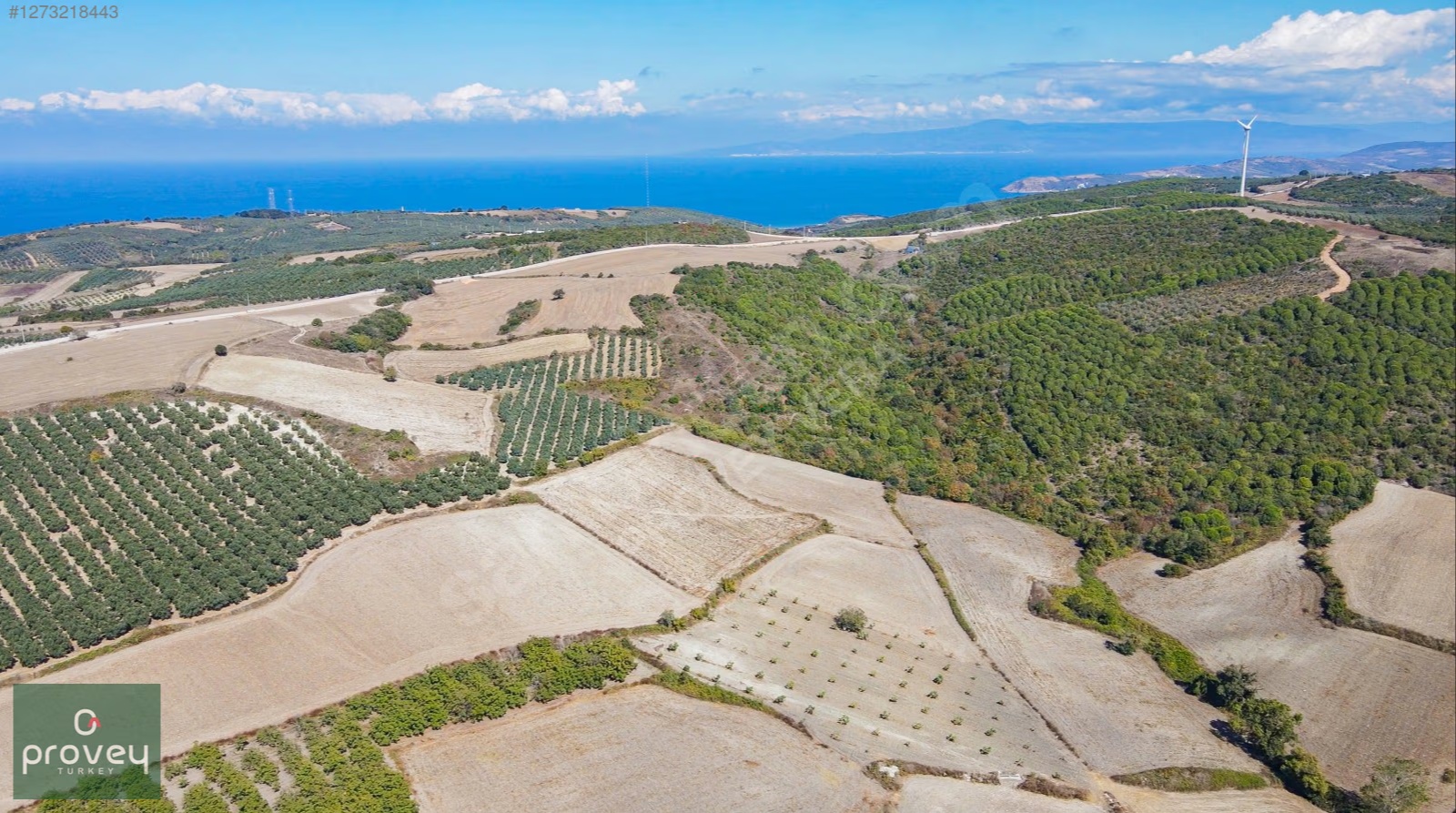 Provey Vera Mudanya Söğütpınar Satılık 7718 M2 Yatırımlık Arazi