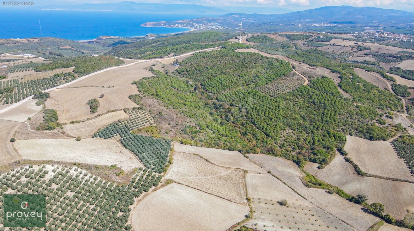 Provey Vera Mudanya Söğütpınar Satılık 7718 M2 Yatırımlık Arazi