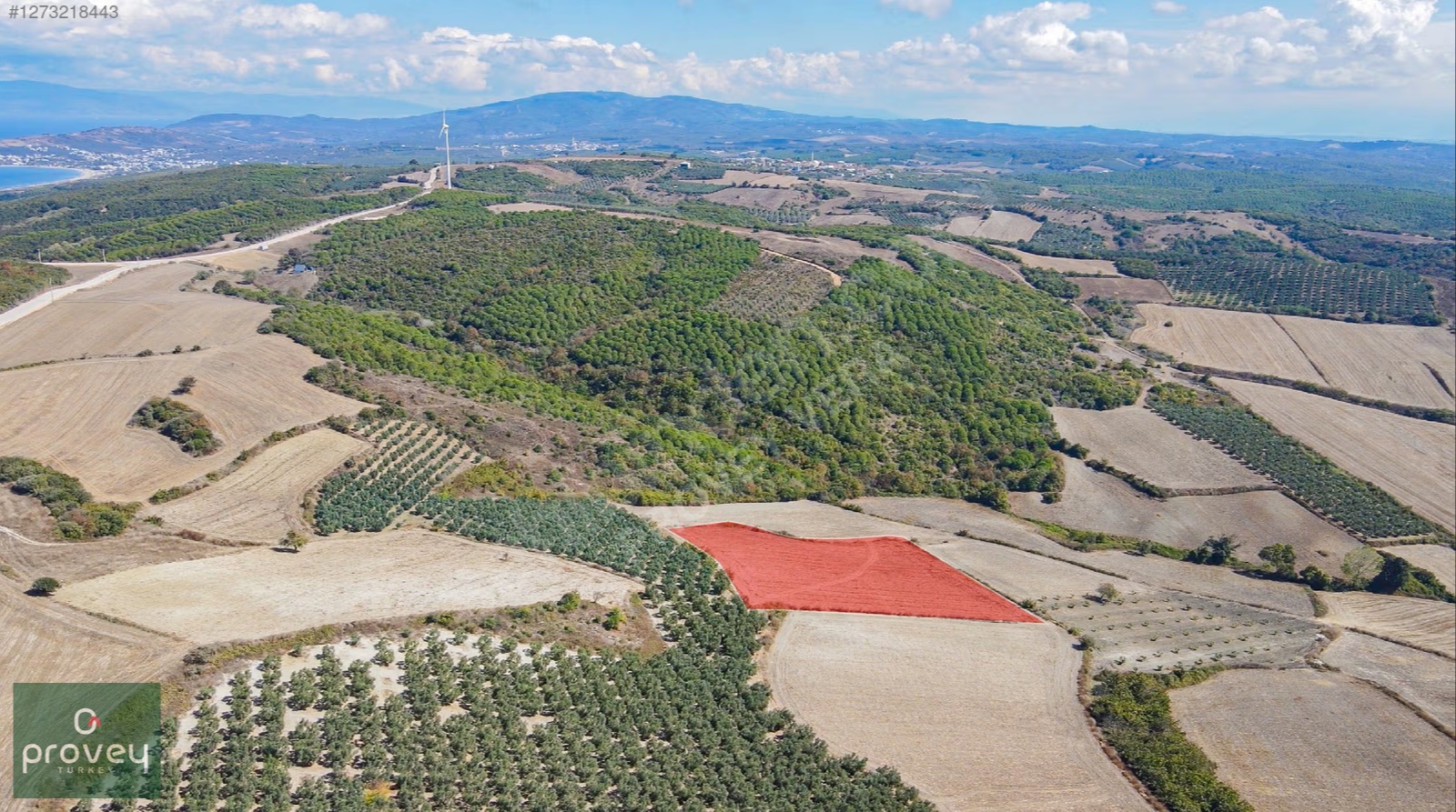 Provey Vera Mudanya Söğütpınar Satılık 7718 M2 Yatırımlık Arazi