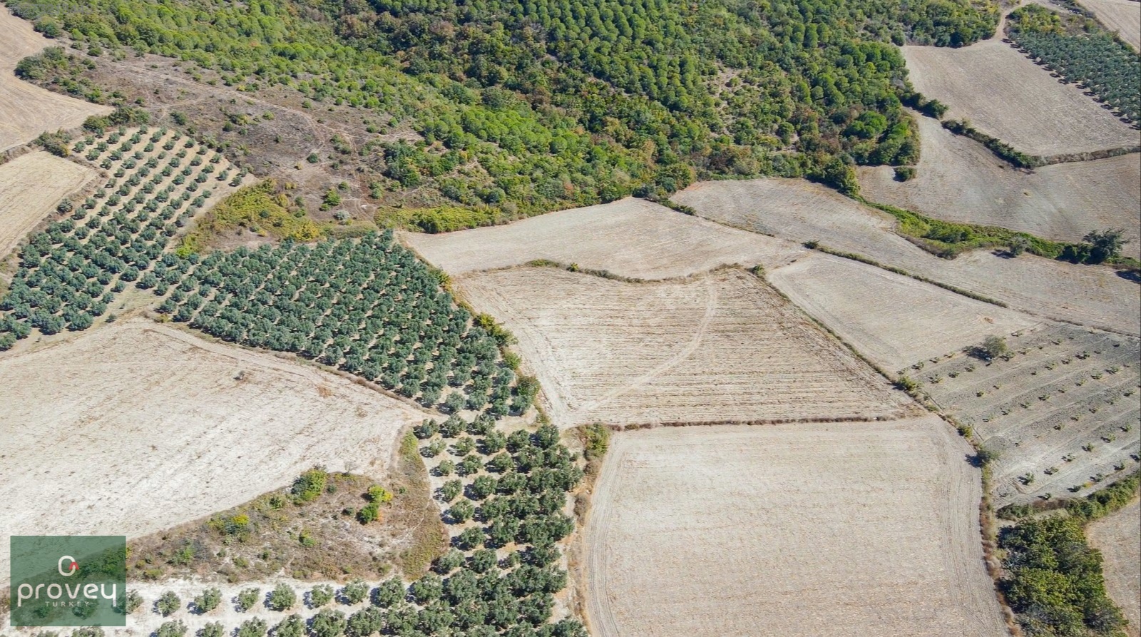 Provey Vera Mudanya Söğütpınar Satılık 7718 M2 Yatırımlık Arazi