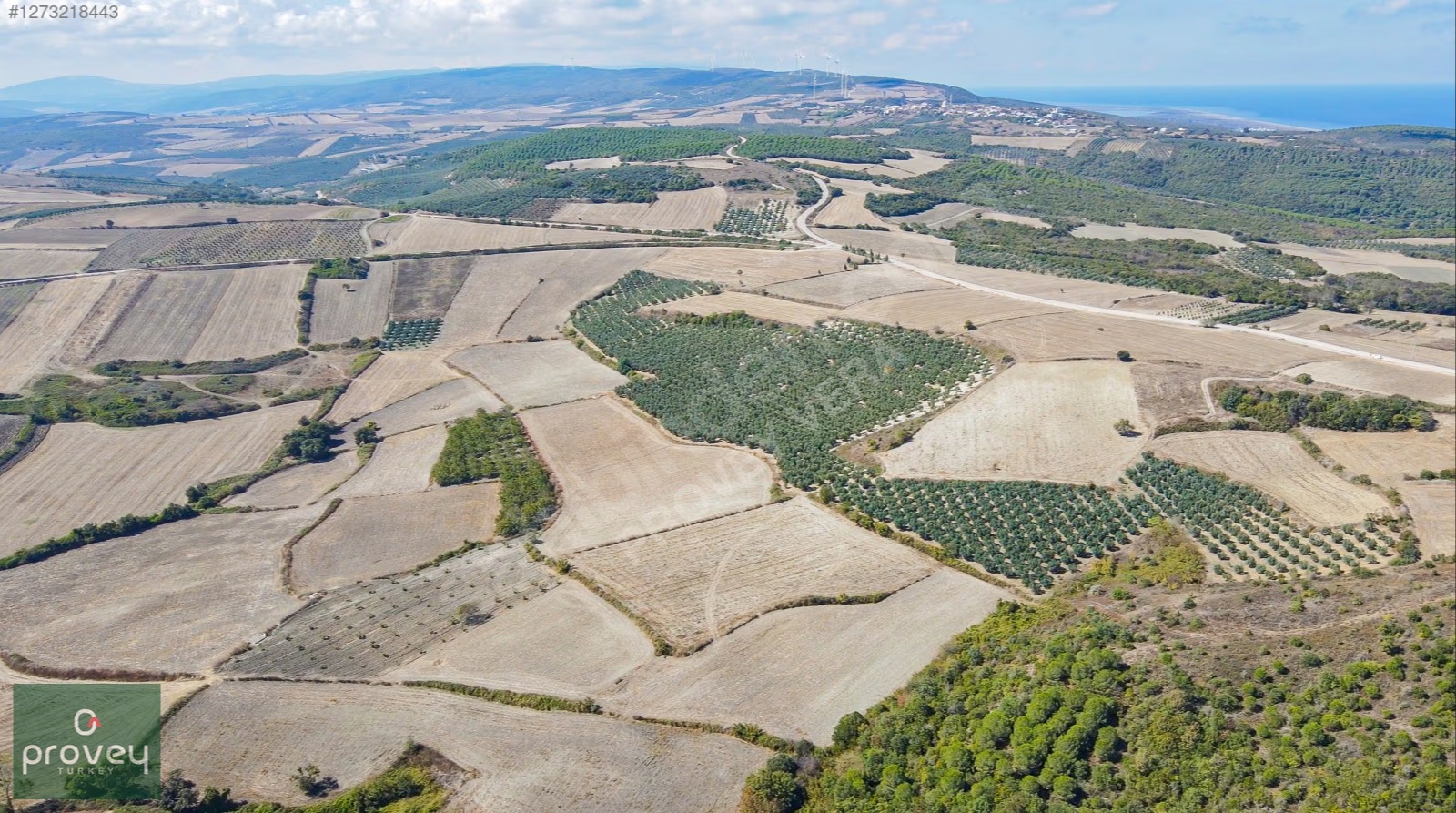 Provey Vera Mudanya Söğütpınar Satılık 7718 M2 Yatırımlık Arazi