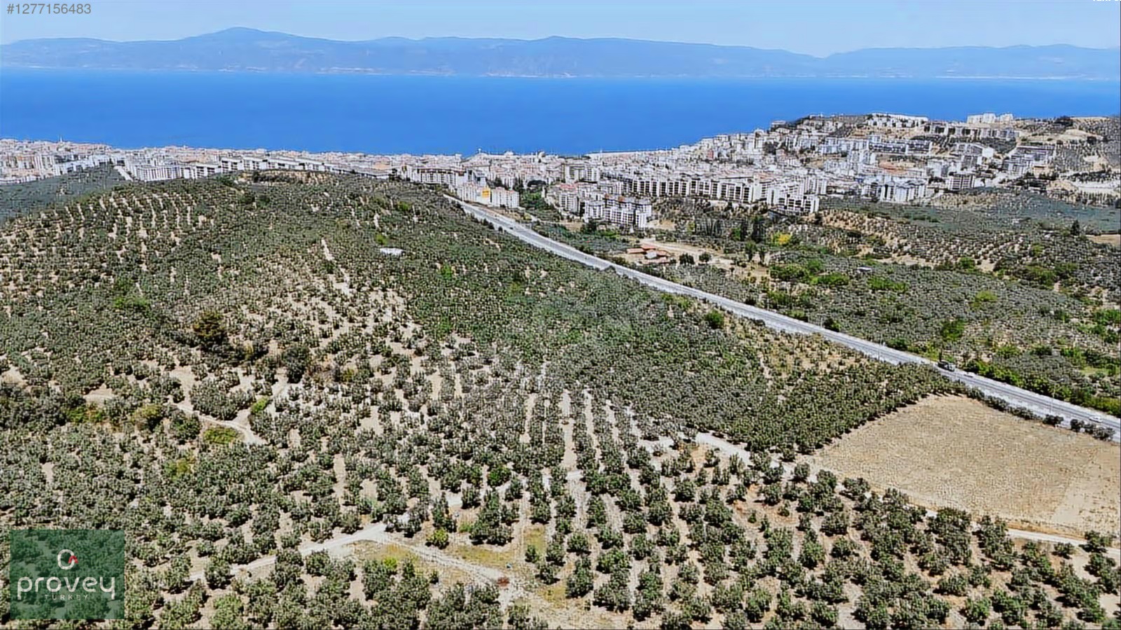 Provey Vera Aydınpınar Deniz Manz. 6.822 M2 Satılık Zeytinlik