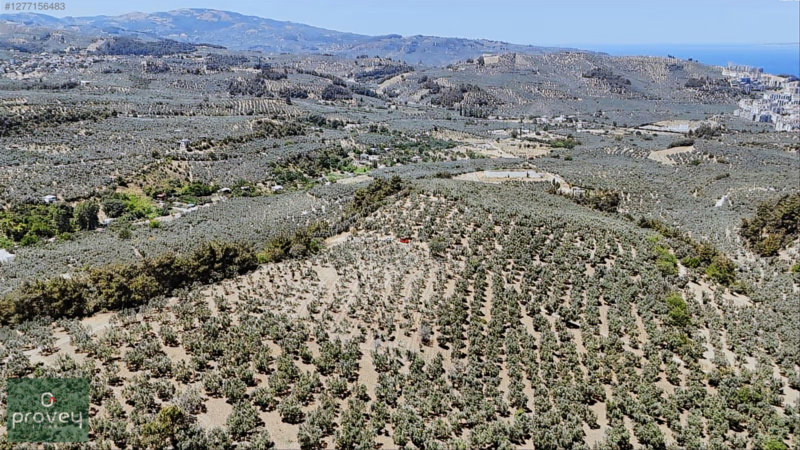 Provey Vera Aydınpınar Deniz Manz. 6.822 M2 Satılık Zeytinlik