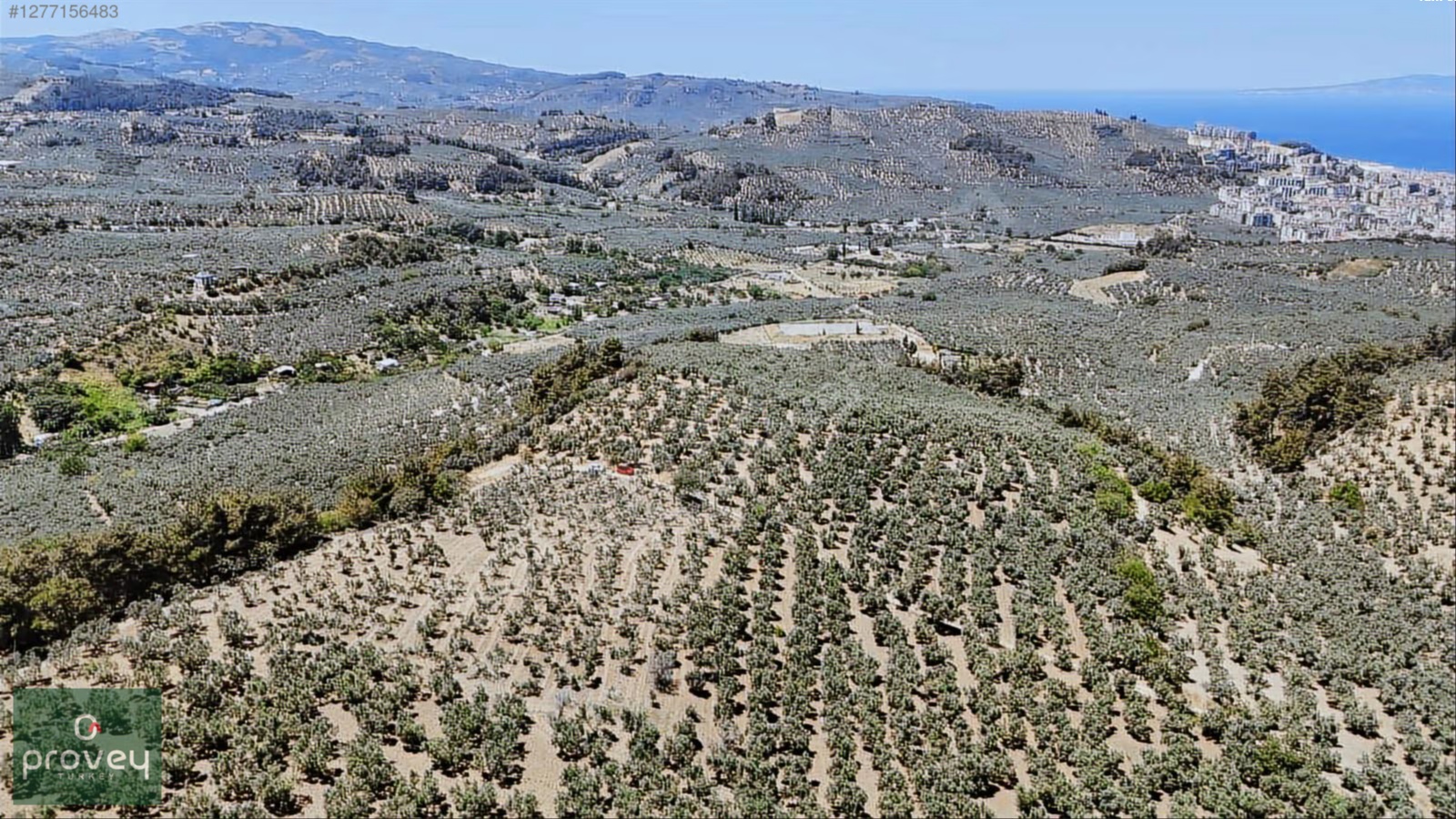 Provey Vera Aydınpınar Deniz Manz. 6.822 M2 Satılık Zeytinlik