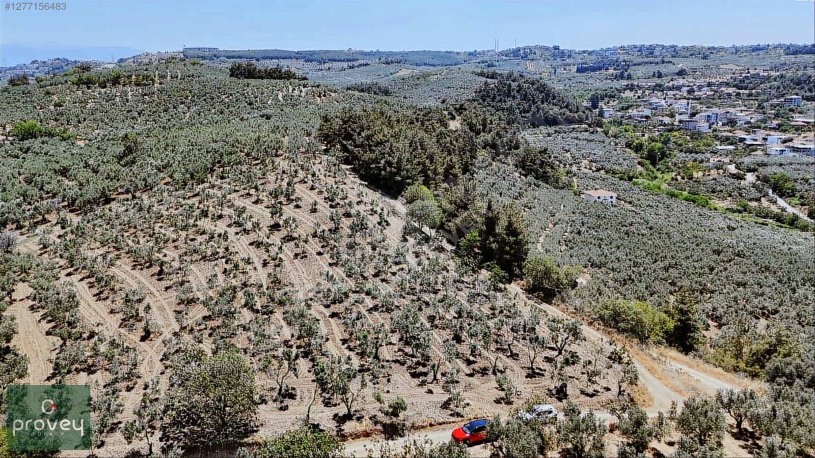 Provey Vera Aydınpınar Deniz Manz. 6.822 M2 Satılık Zeytinlik