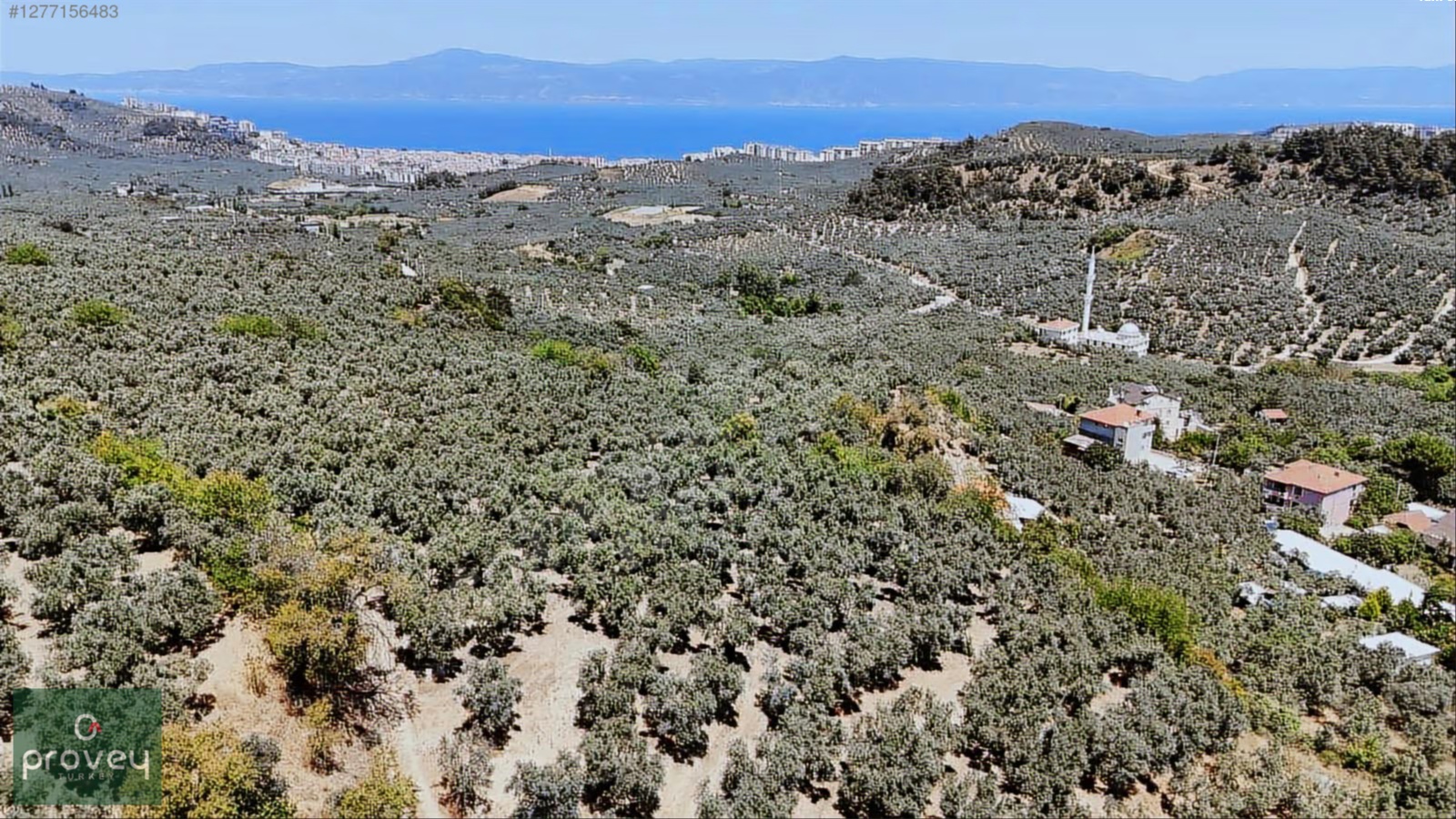 Provey Vera Aydınpınar Deniz Manz. 6.822 M2 Satılık Zeytinlik