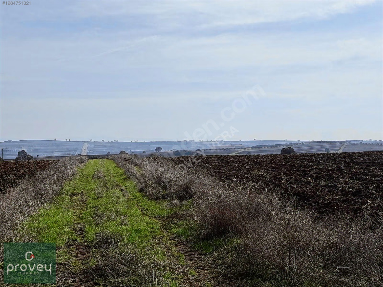 Provey Vera Karacabey Hürriyet Satılık Tarla