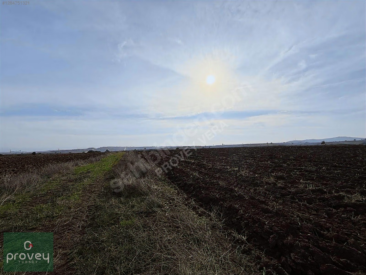 Provey Vera Karacabey Hürriyet Satılık Tarla