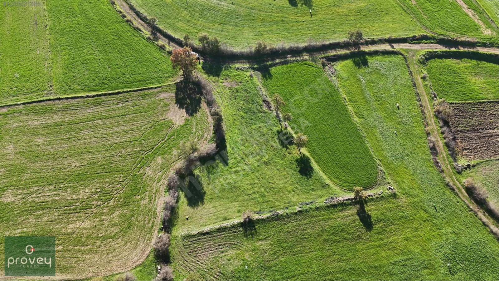 Provey Vera Balıkesir Bayat'da 1542 M2 Köye Yakın Tarla