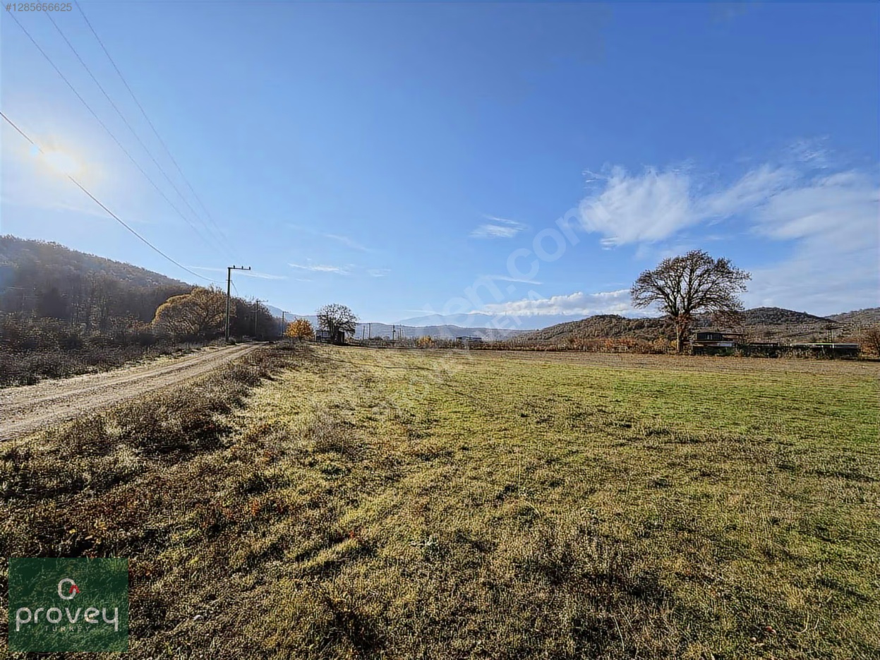 Provey Vera Kestel Gölcük Satılık Tarla