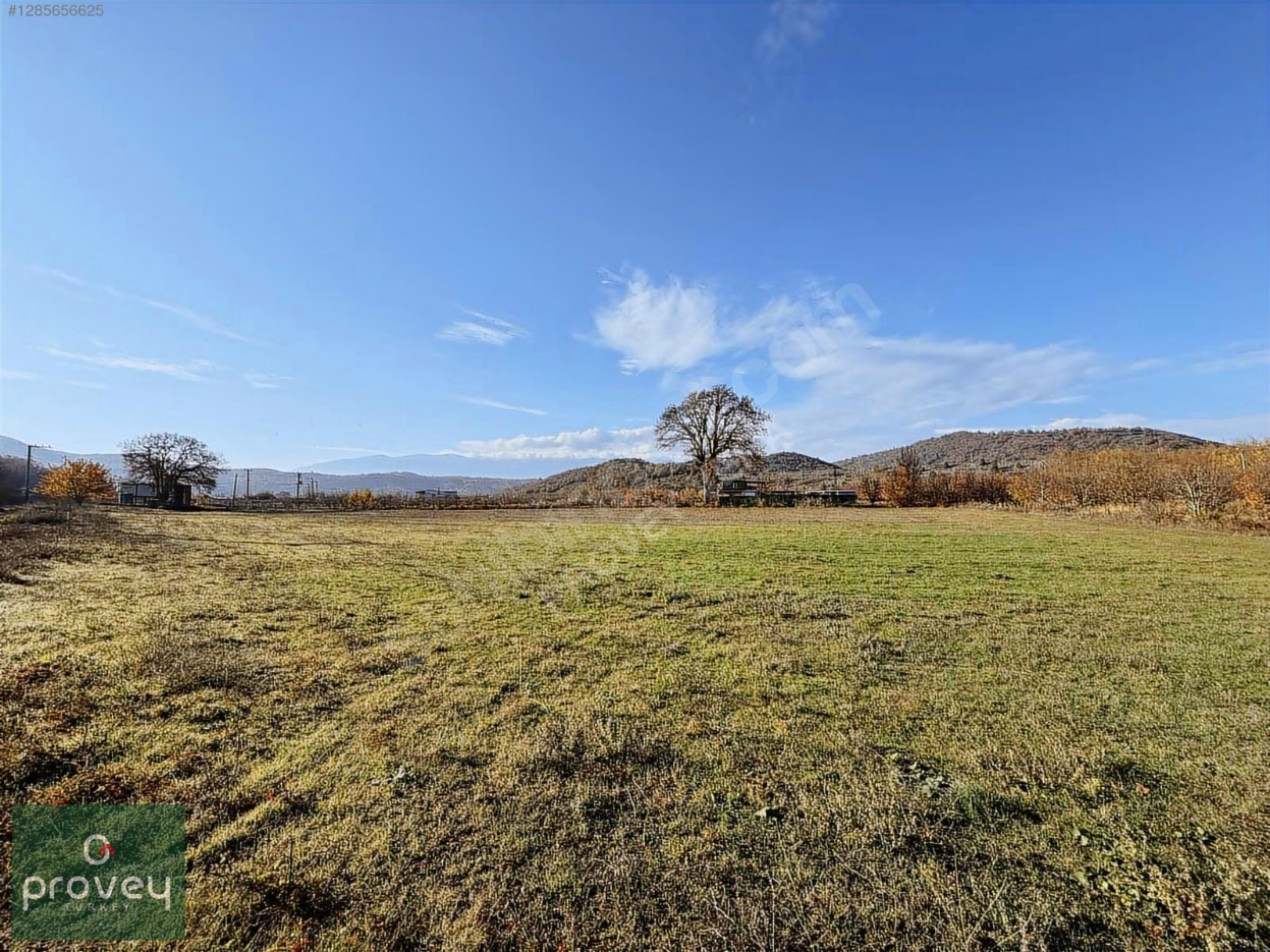 Provey Vera Kestel Gölcük Satılık Tarla