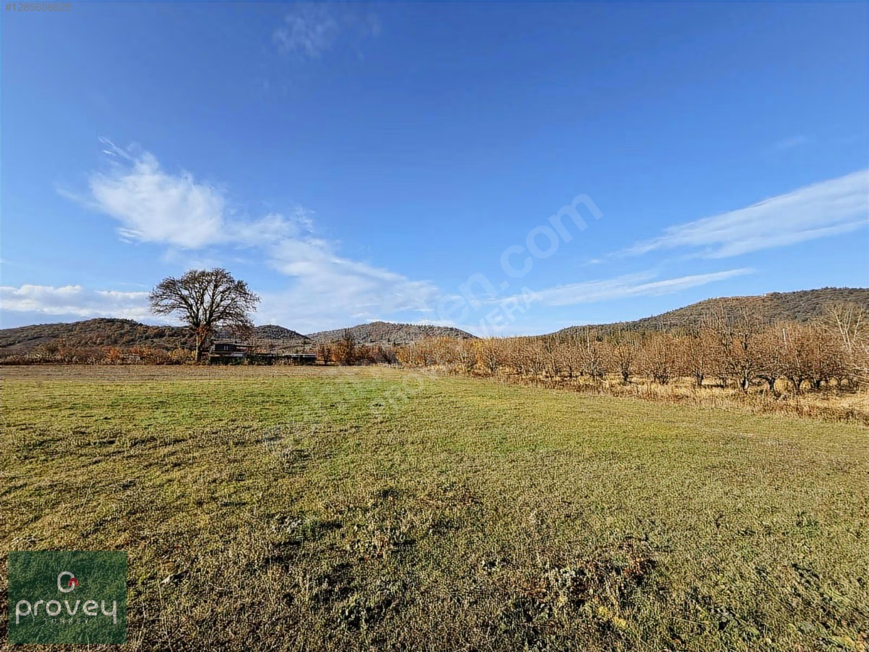 Provey Vera Kestel Gölcük Satılık Tarla