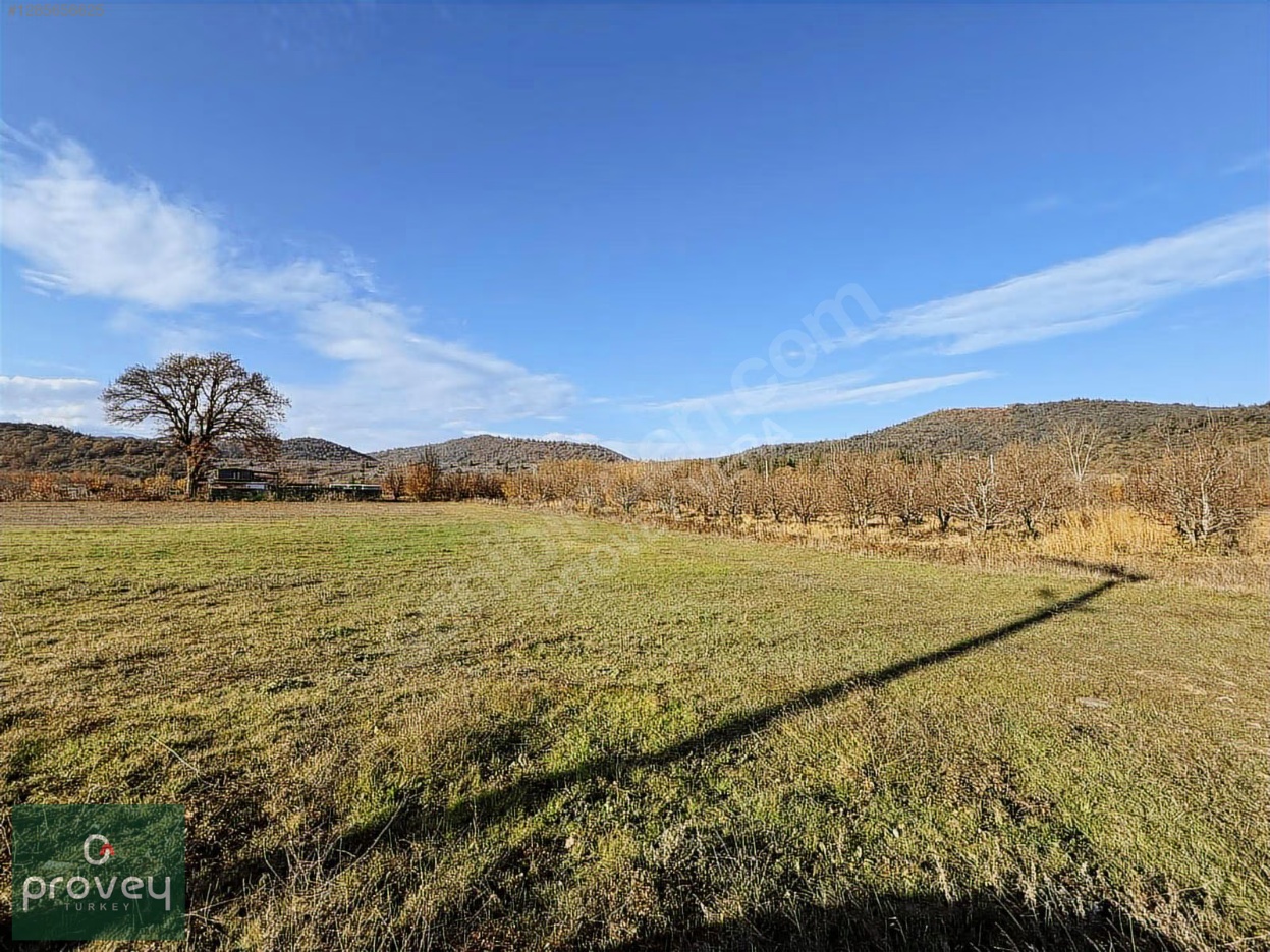 Provey Vera Kestel Gölcük Satılık Tarla