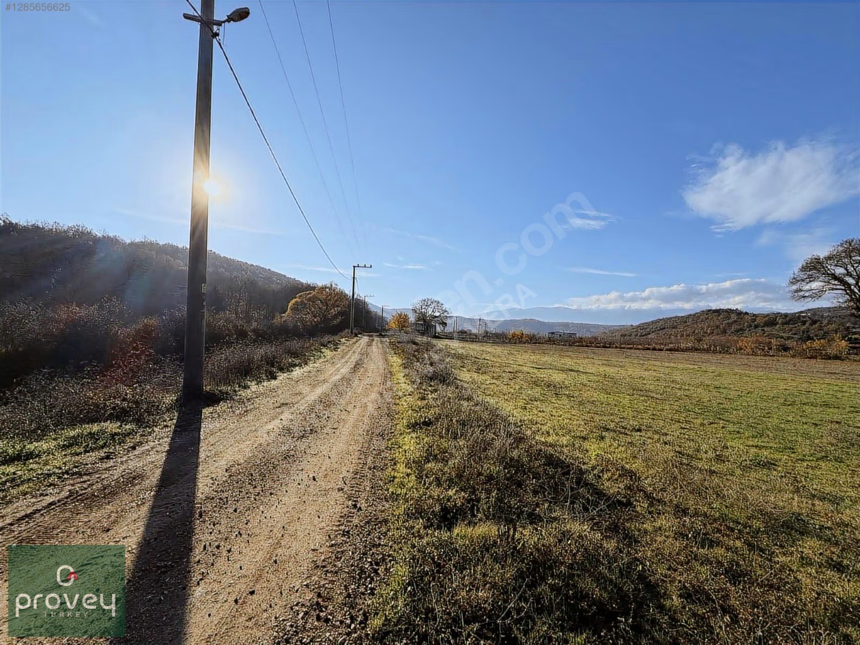 Provey Vera Kestel Gölcük Satılık Tarla