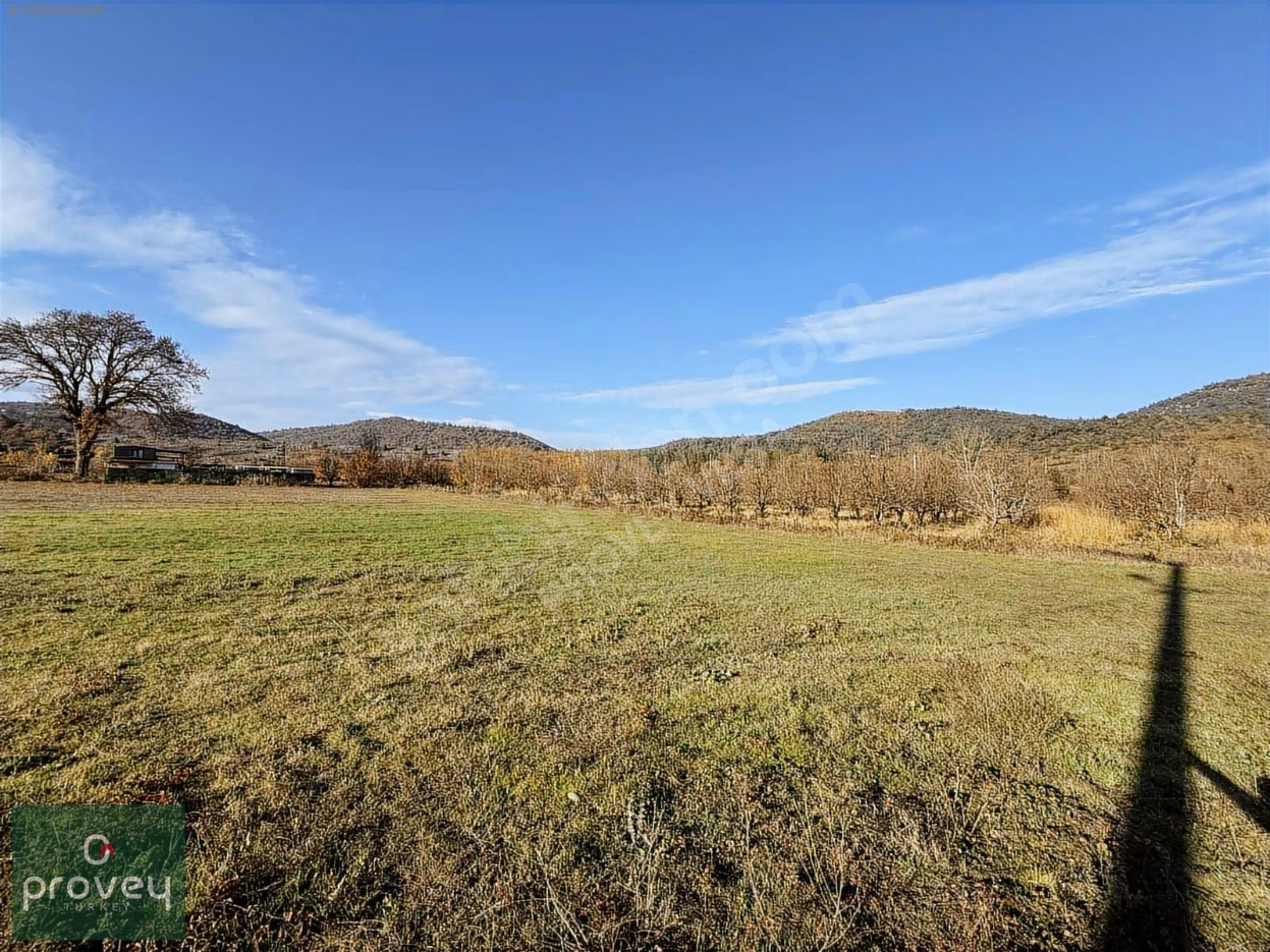 Provey Vera Kestel Gölcük Satılık Tarla