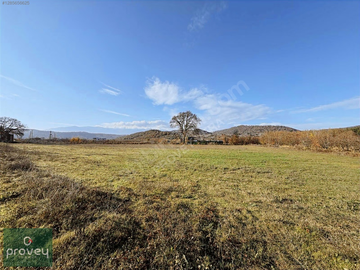 Provey Vera Kestel Gölcük Satılık Tarla