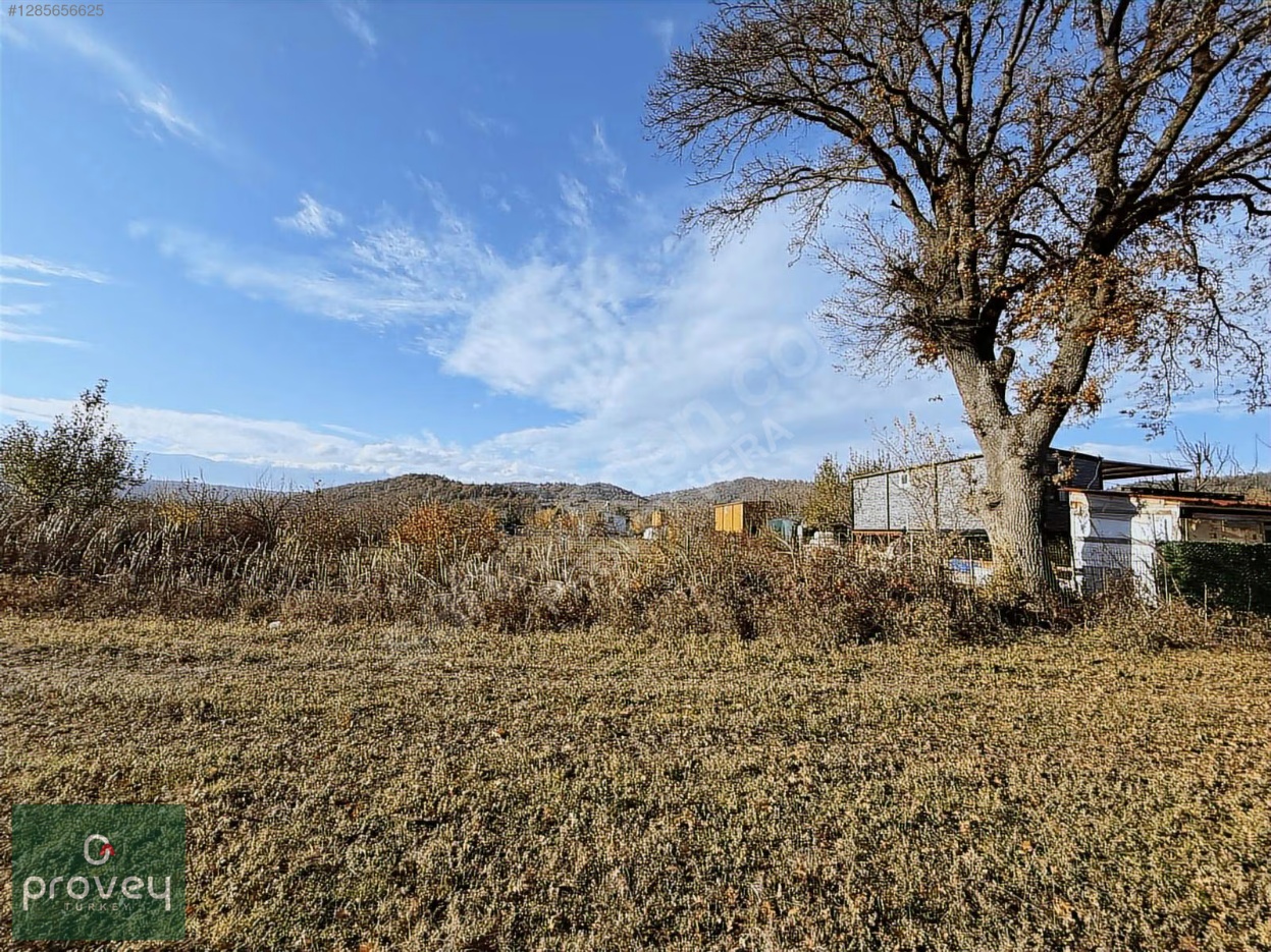 Provey Vera Kestel Gölcük Satılık Tarla