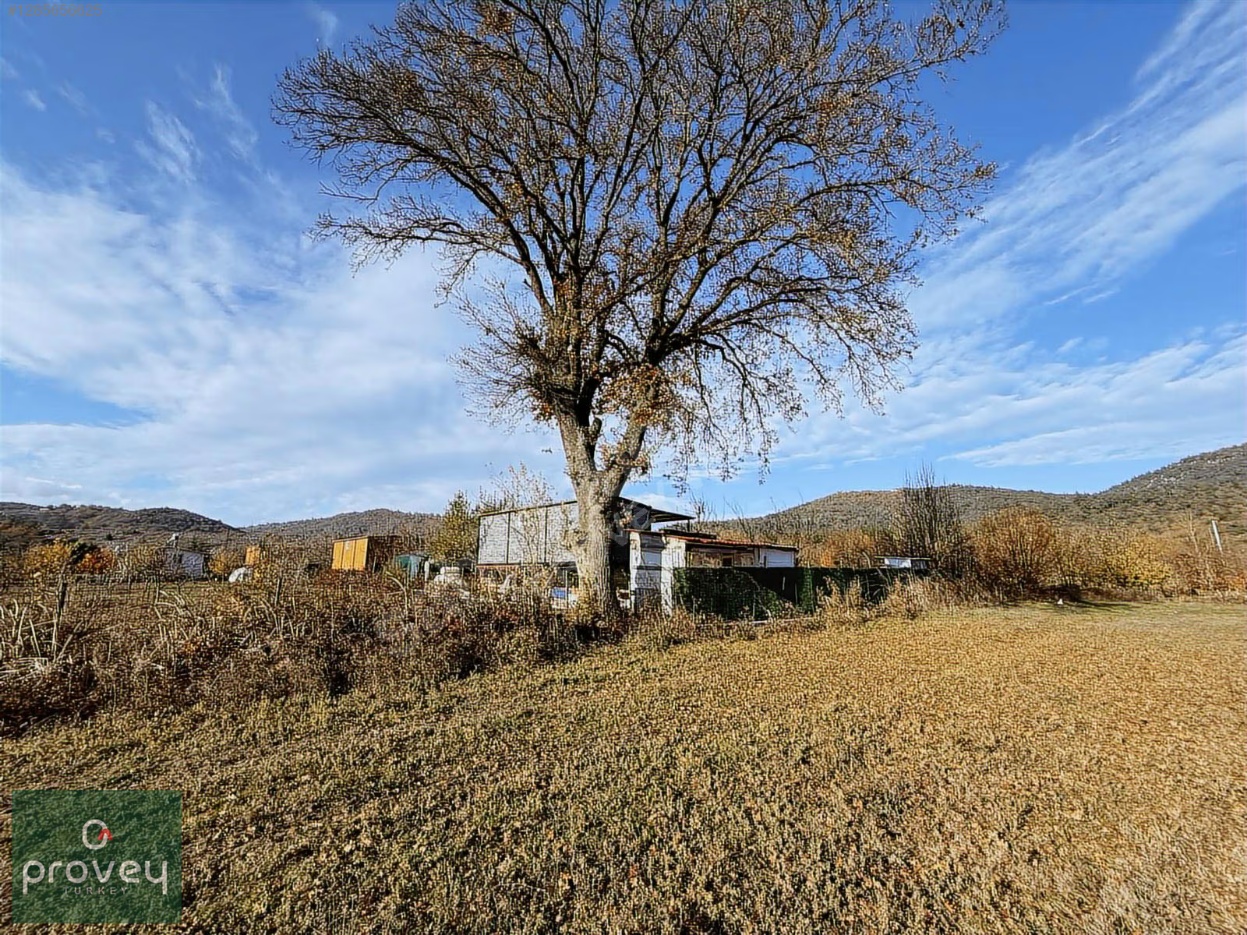 Provey Vera Kestel Gölcük Satılık Tarla