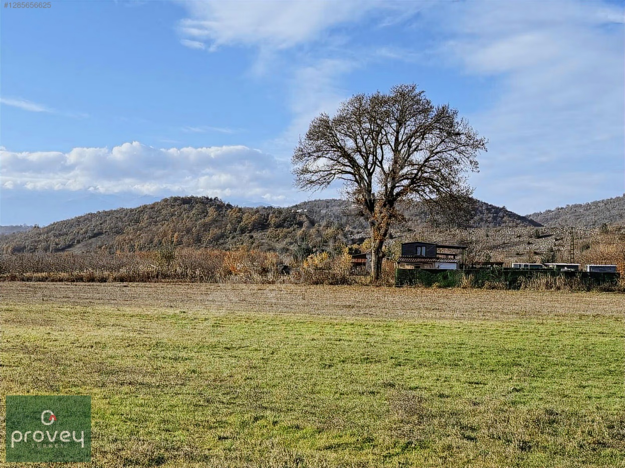 Provey Vera Kestel Gölcük Satılık Tarla