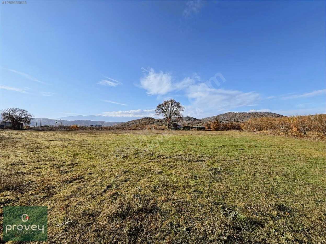 Provey Vera Kestel Gölcük Satılık Tarla