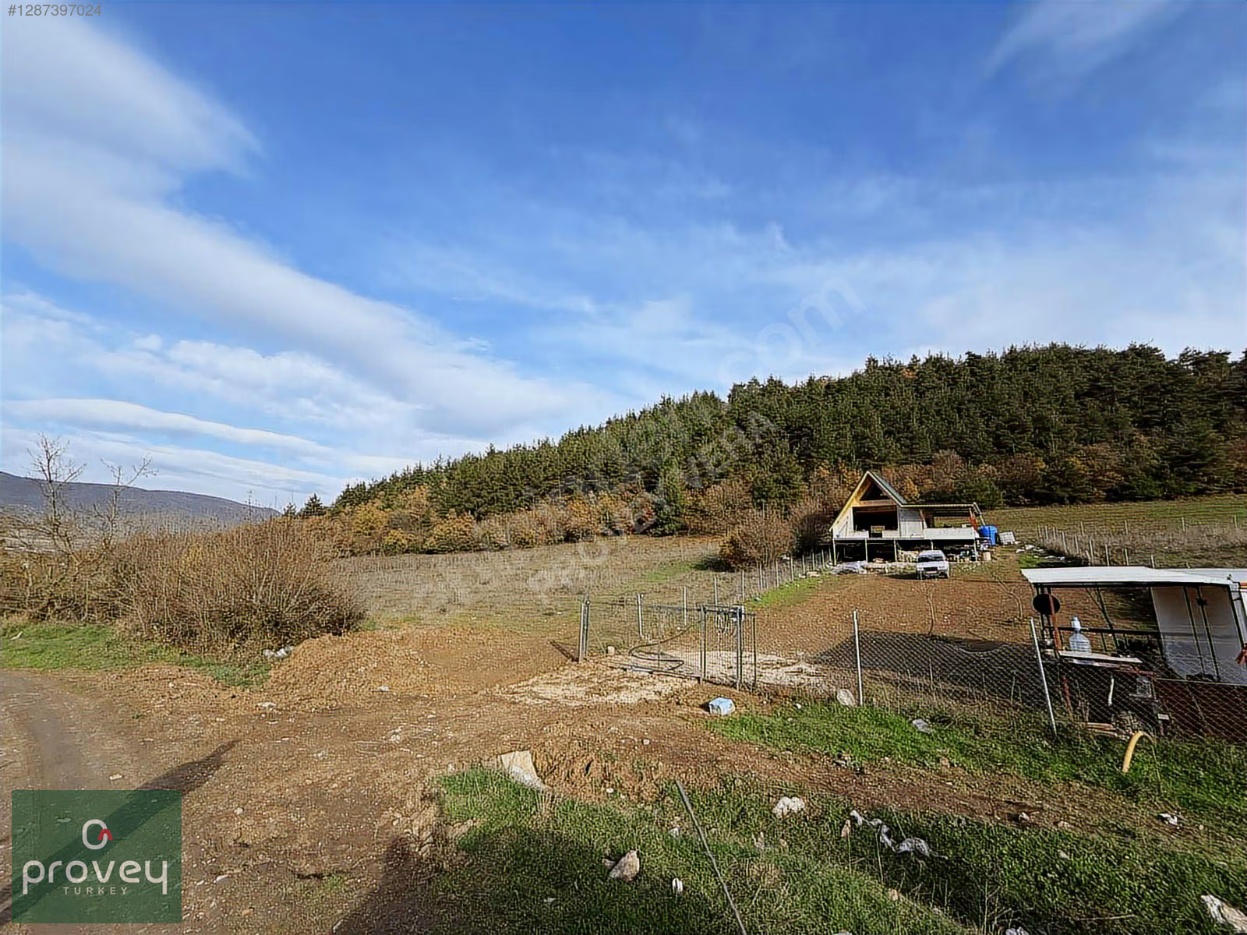 PROVEY VERA KESTEL GÖLCÜK 3 DÖNÜM MÜSTAKİL TARLA SATILIK S