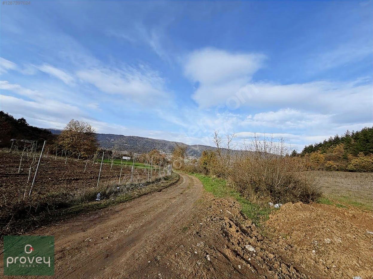 Provey Vera Kestel Gölcük 3 Dönüm Müstakil Tarla Satılık S