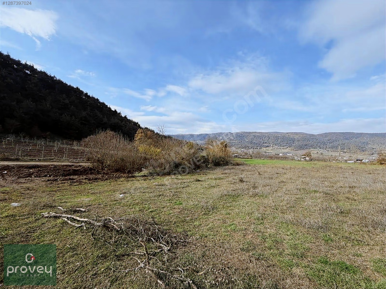 Provey Vera Kestel Gölcük 3 Dönüm Müstakil Tarla Satılık S