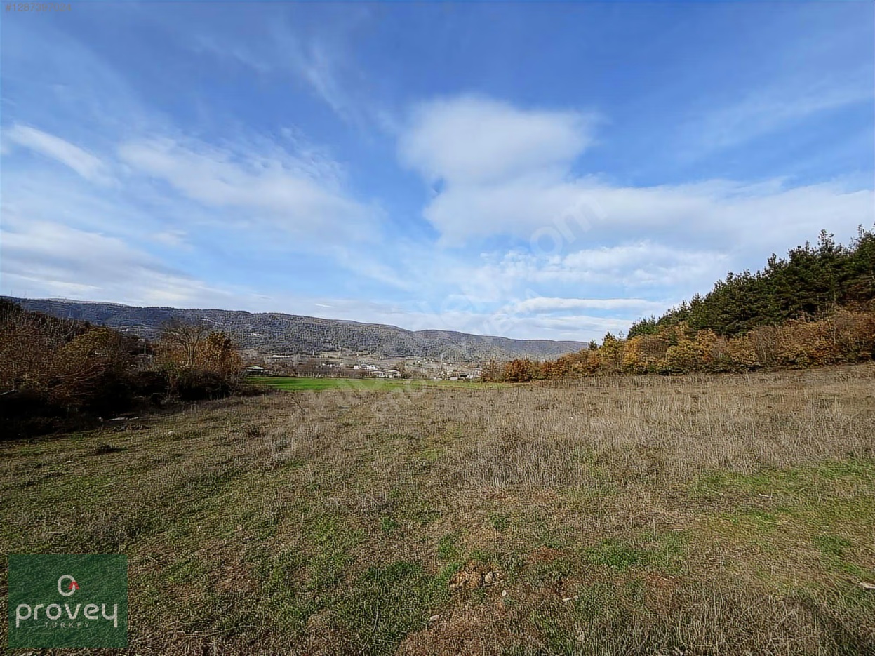 Provey Vera Kestel Gölcük 3 Dönüm Müstakil Tarla Satılık S