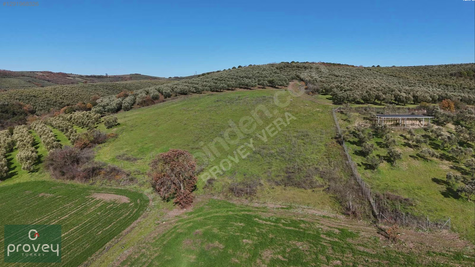 PROVEY VERA NİLÜFER ÇAYLI'DA 6900 M2 MÜSTAKİL TAPU FIRSAT TARLA