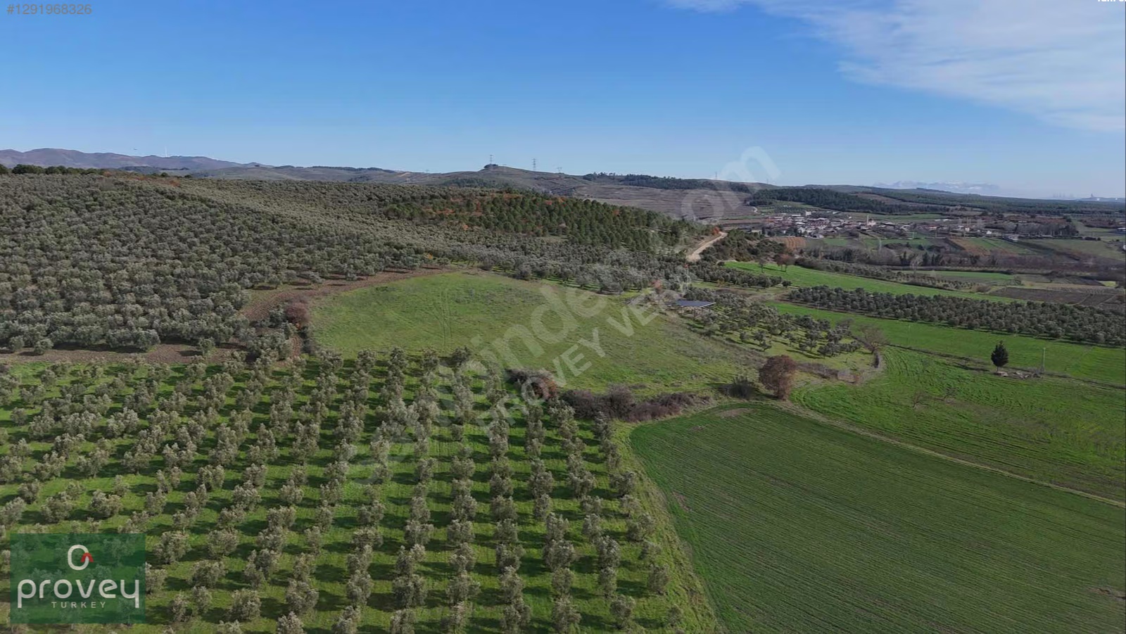 Provey Vera Nilüfer Çaylı'da 6900 M2 Müstakil Tapu Fırsat Tarla