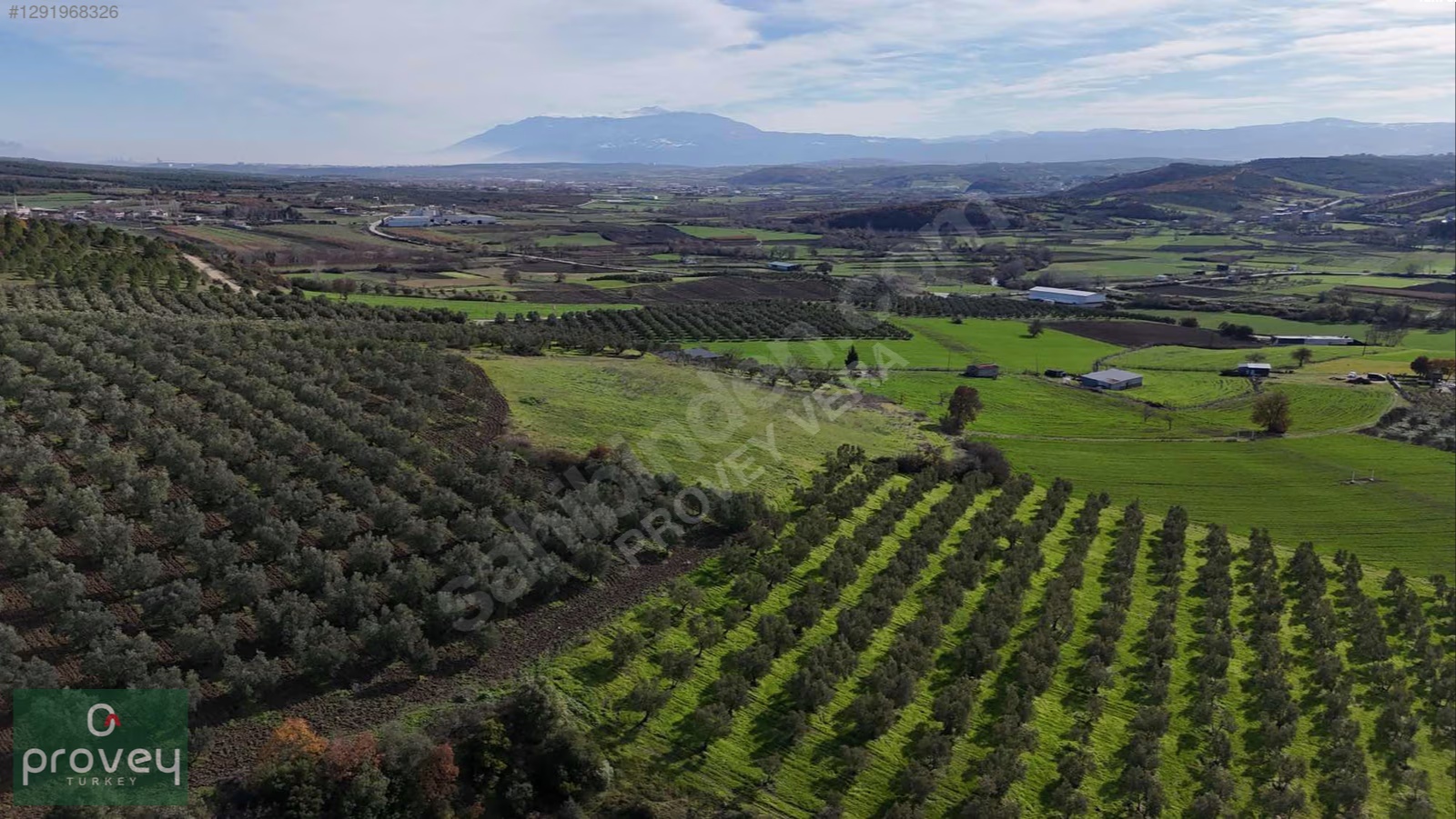 Provey Vera Nilüfer Çaylı'da 6900 M2 Müstakil Tapu Fırsat Tarla