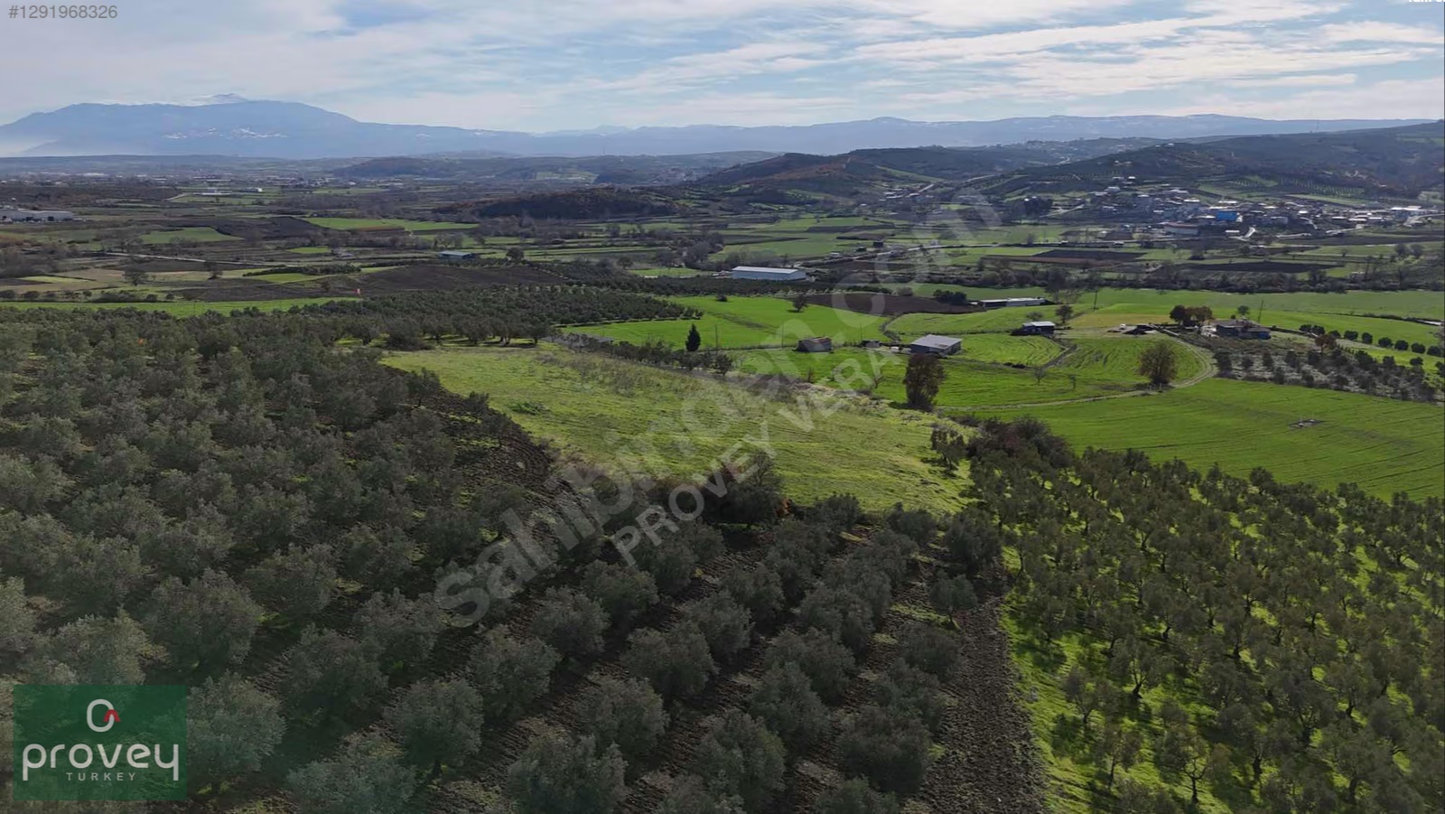 Provey Vera Nilüfer Çaylı'da 6900 M2 Müstakil Tapu Fırsat Tarla