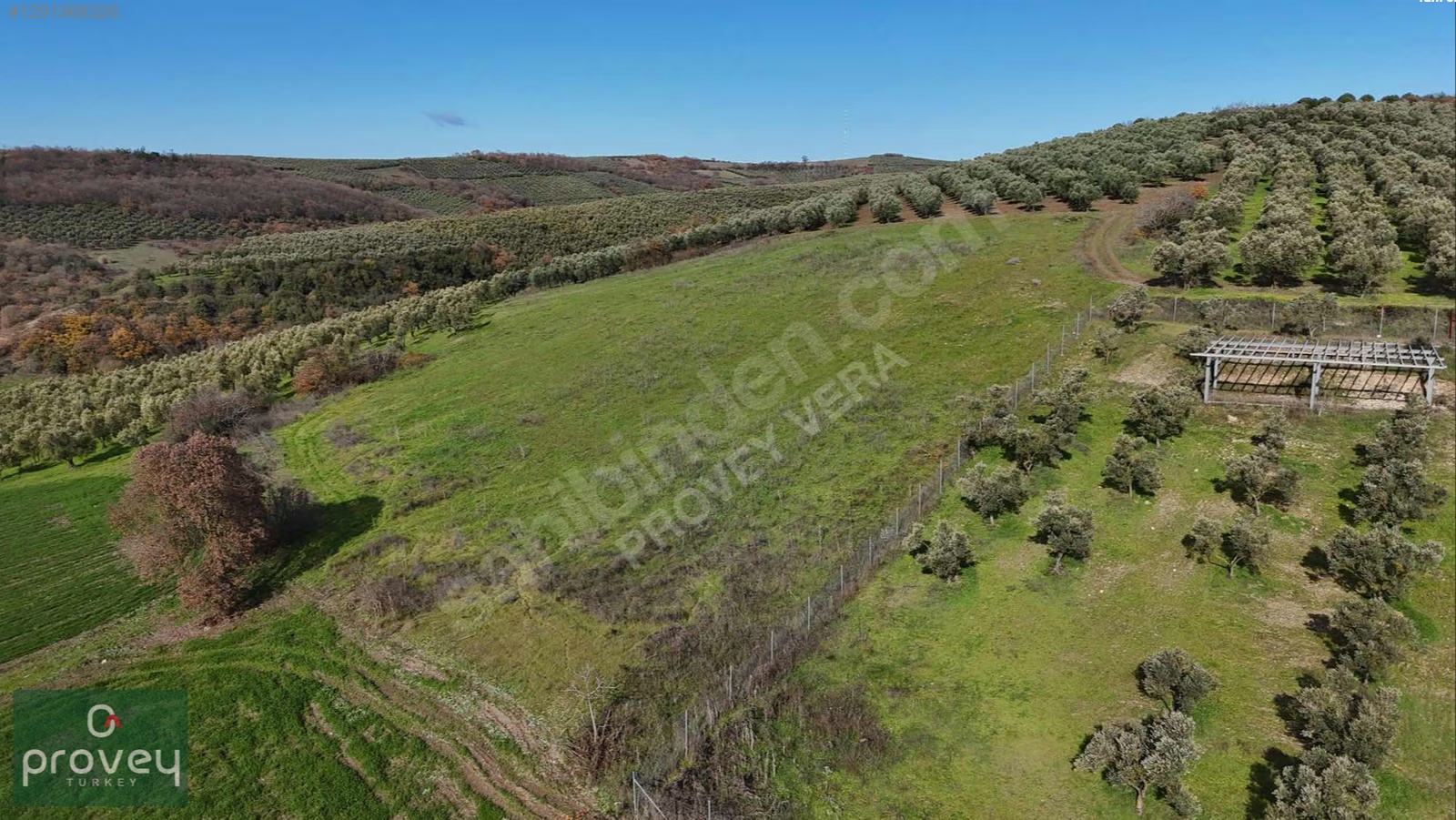 Provey Vera Nilüfer Çaylı'da 6900 M2 Müstakil Tapu Fırsat Tarla