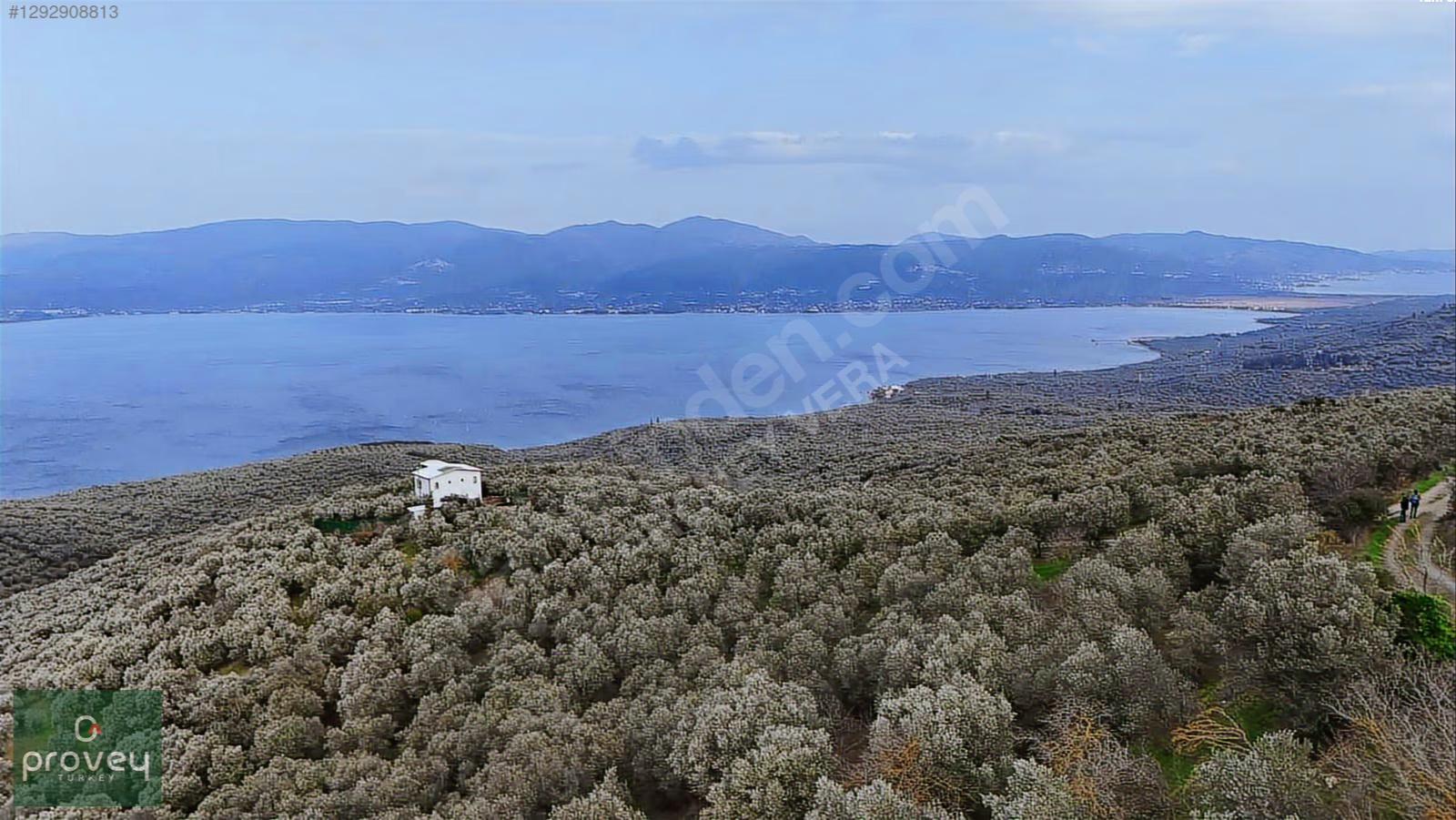 PROVEY VERA BANDIRMA EDİNCİK DENİZ MANZARALI ZEYTİNLİK
